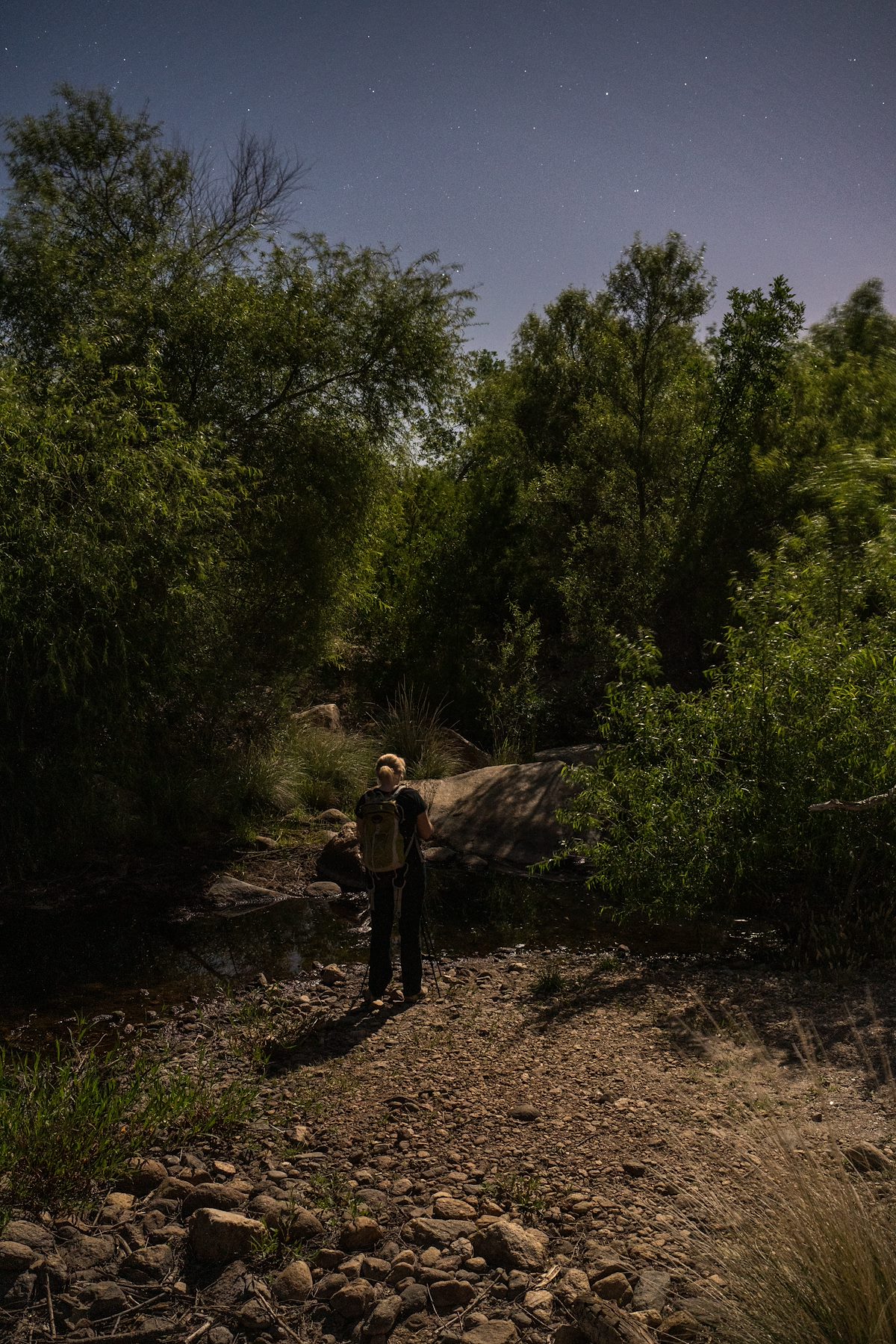 2016 May Nearly Midnight in Sabino Canyon