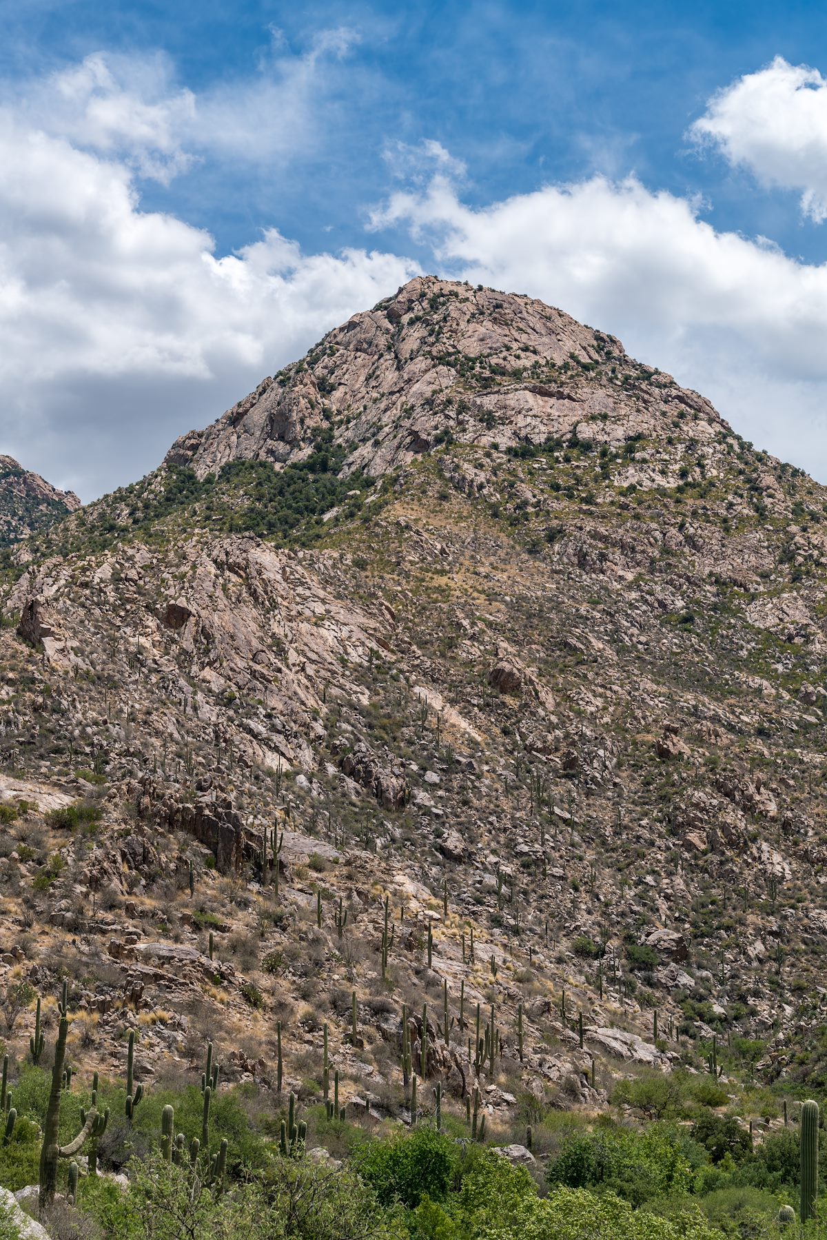2016 May Peak East of Romero Canyon