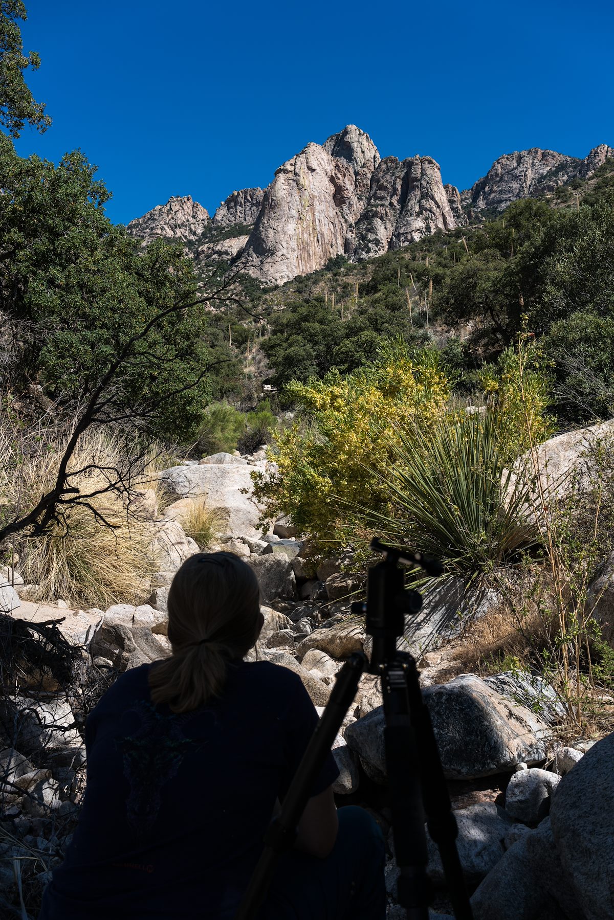 2016 May Relaxing in the shade in Alamo Canyon