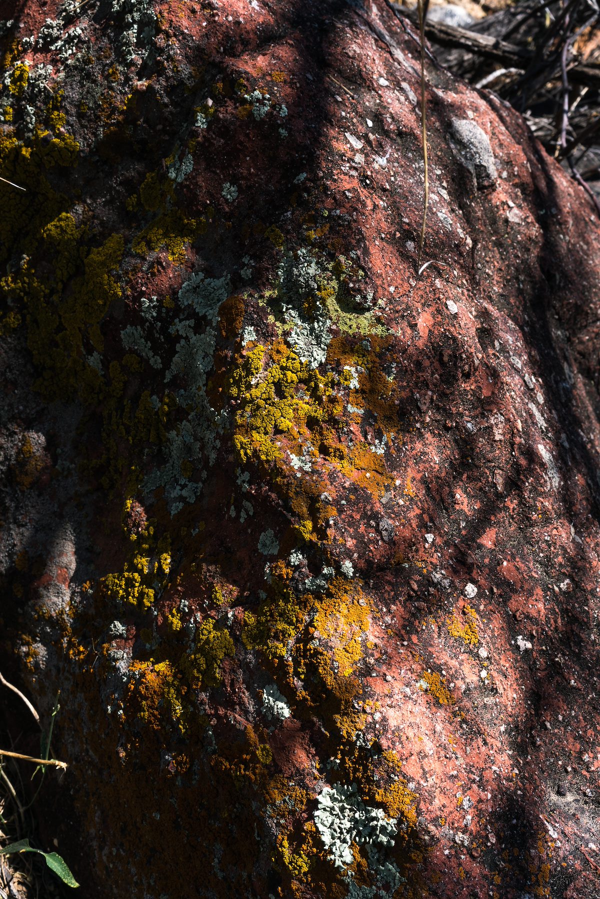 2016 May Rock along the Alamo Loop