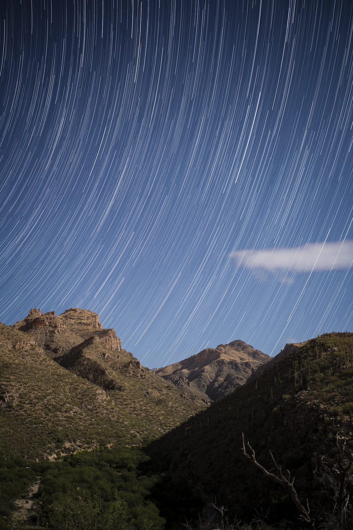 2016 May Stars above Bear Canyon