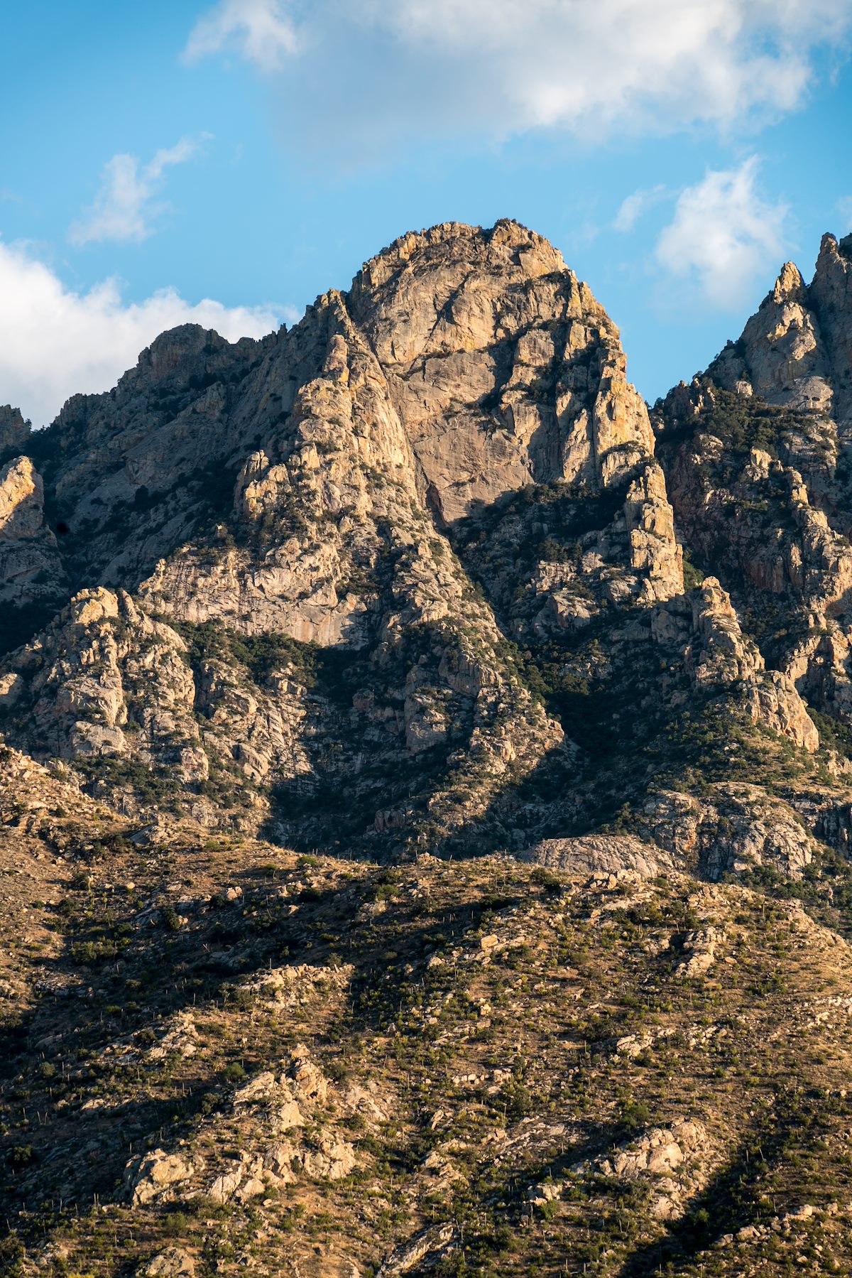 2016 May Table Tooth from Catalina State Park