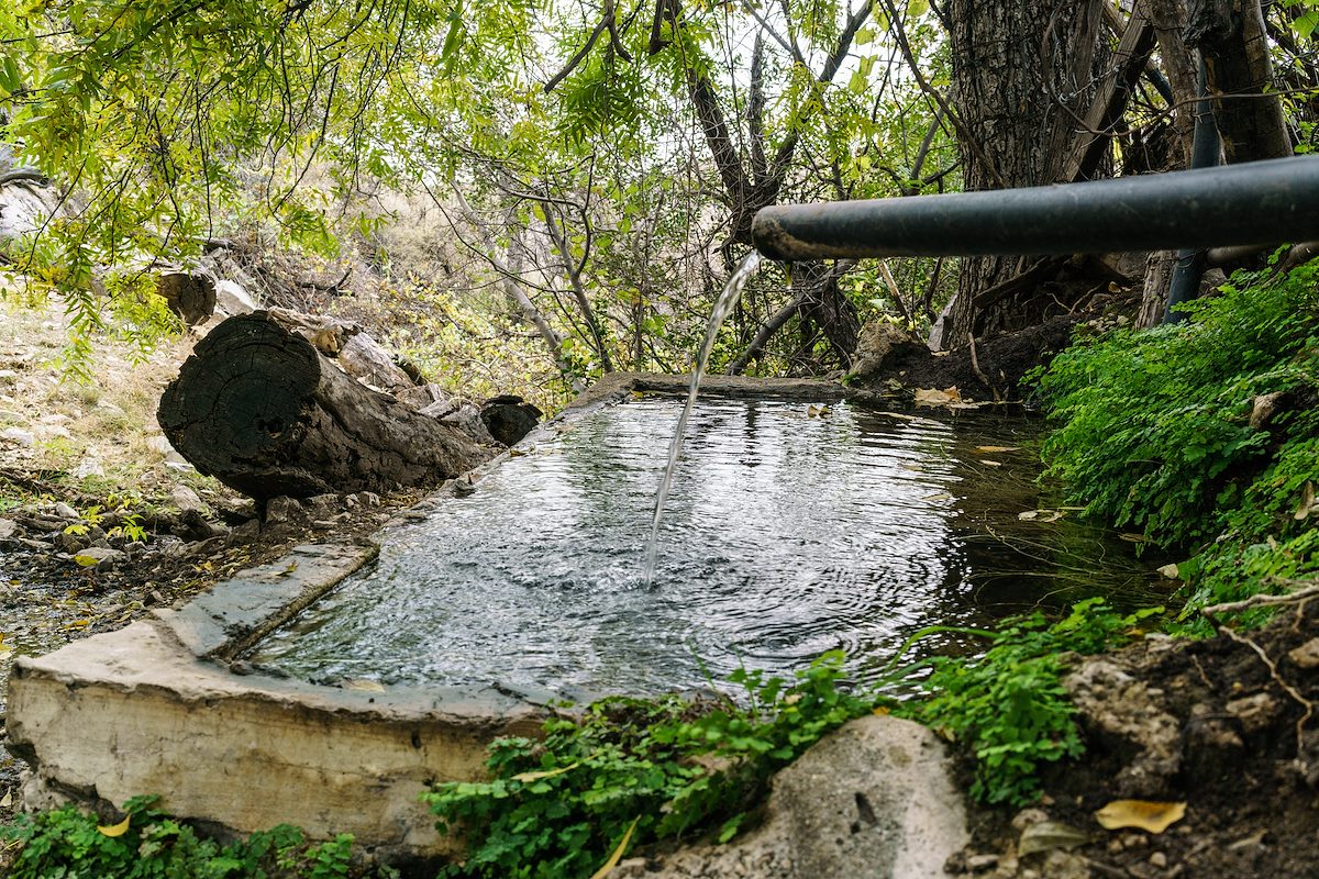 2016 November Davis Spring