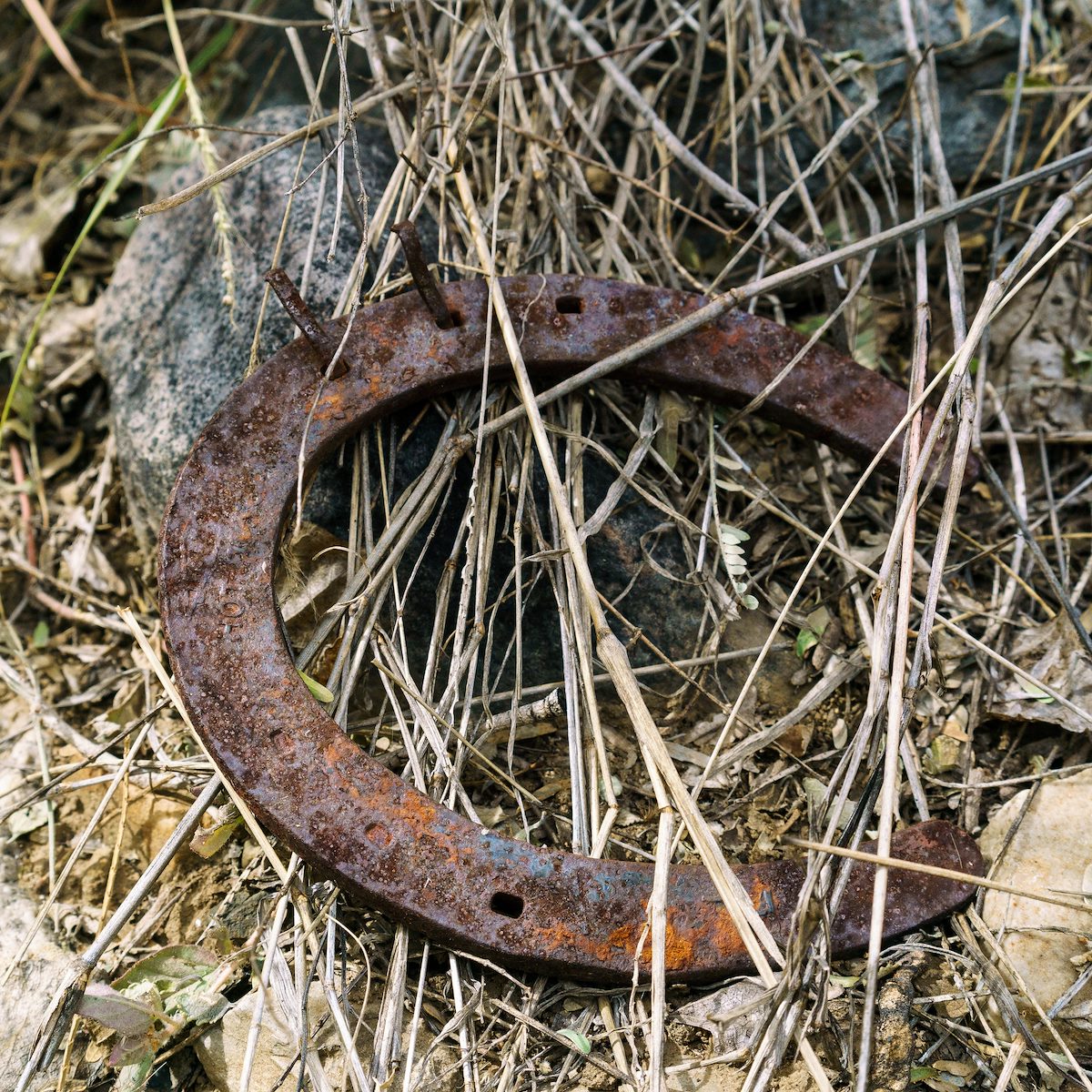 2016 November Horseshoe in Edgar Canyon