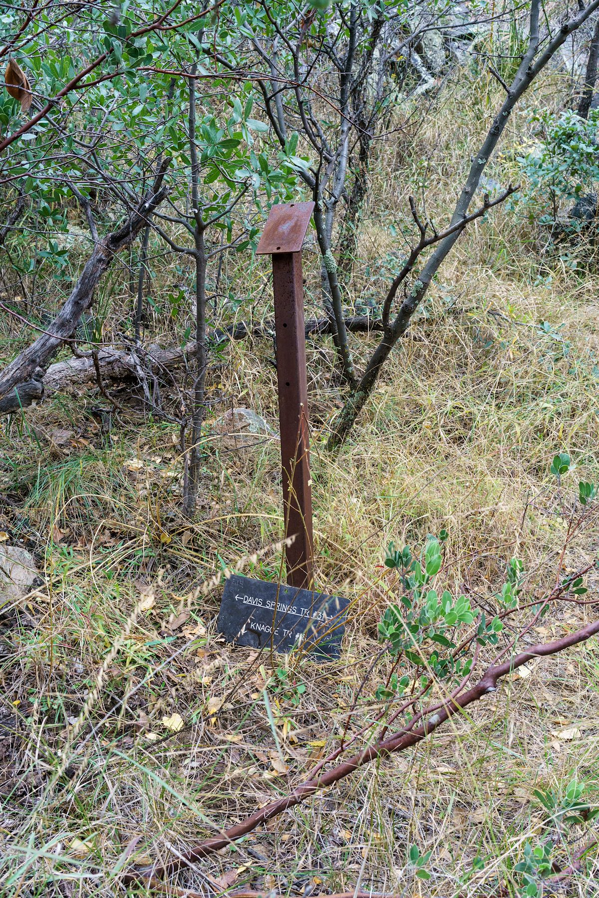 2016 November Knagge and Davis Spring Trail Junction