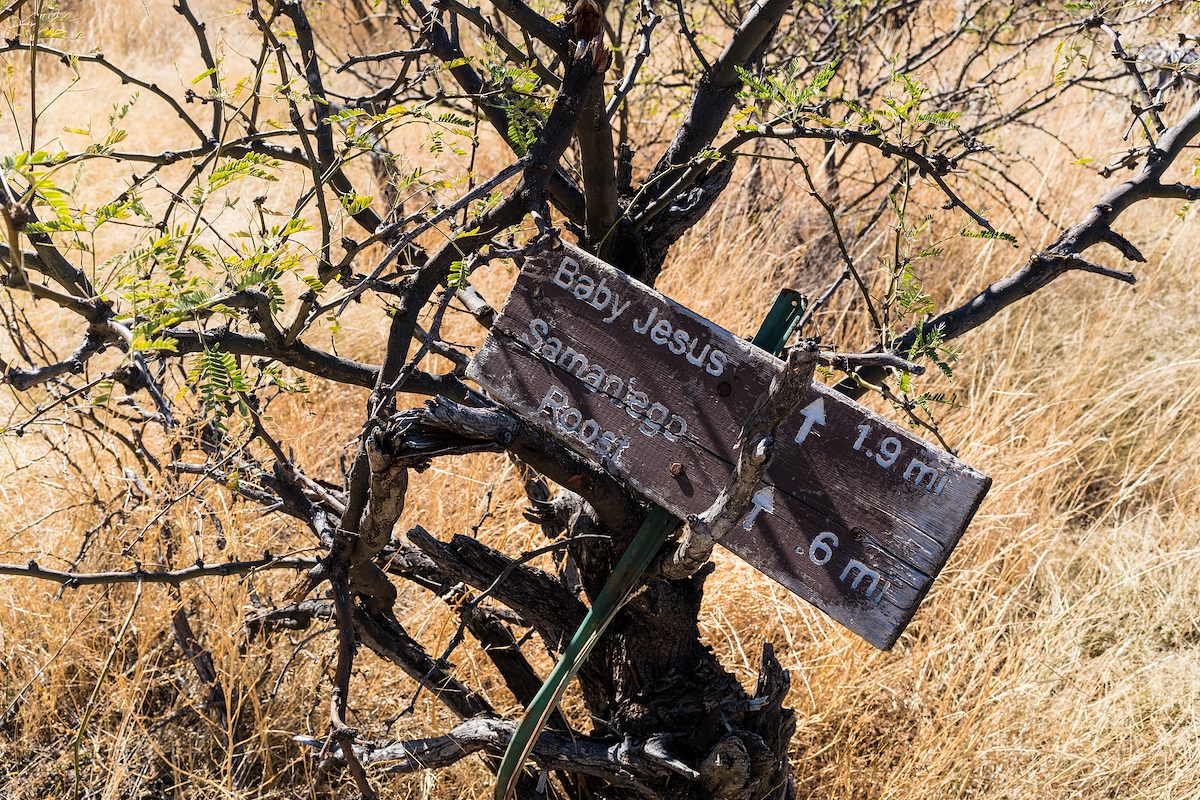 2016 November Samaniego Roost and Baby Jesus Sign in Deer Camp