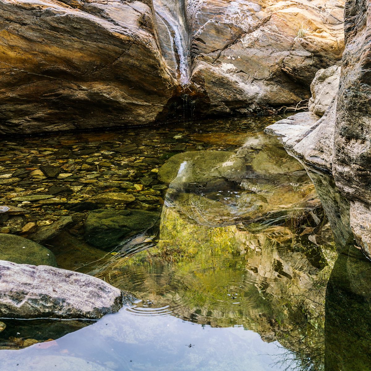 2016 November Water in Edgar Canyon