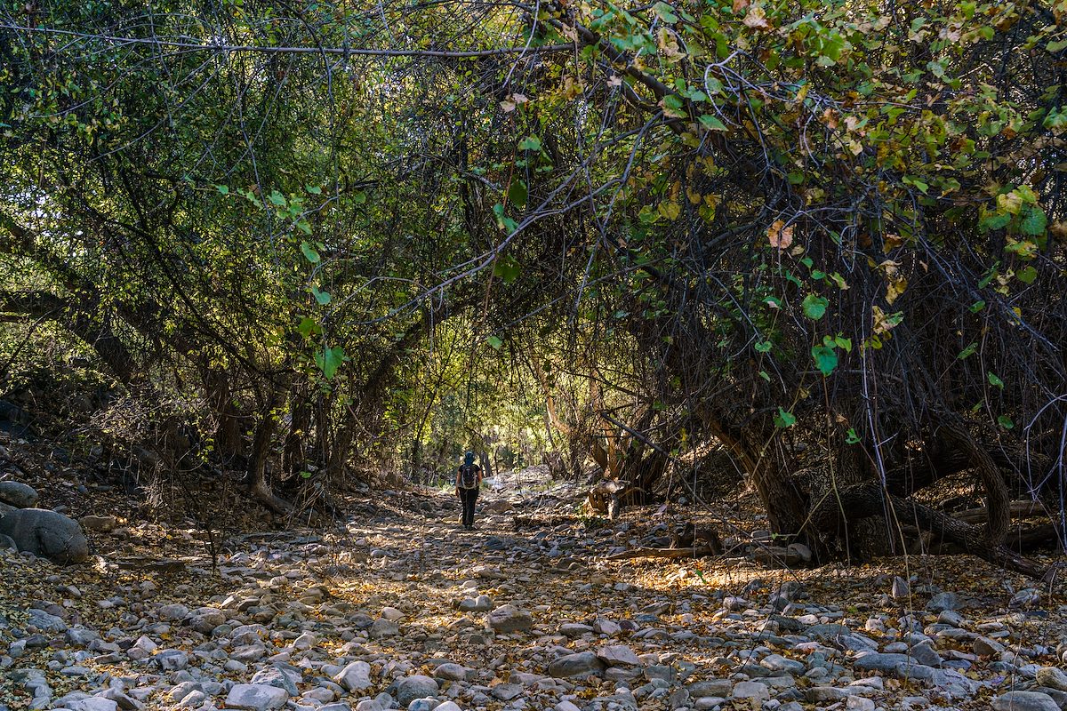 2016 October Alder Canyon