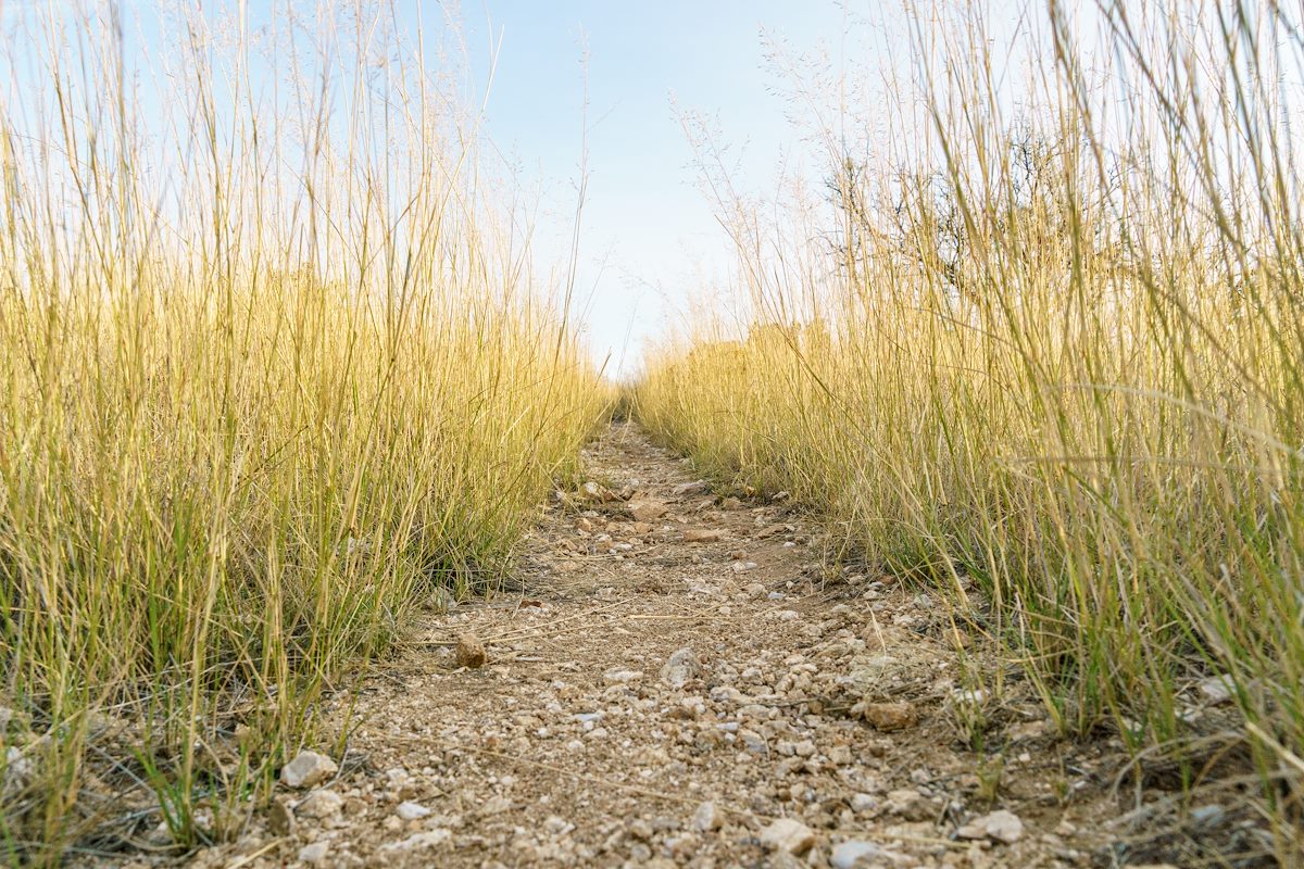 2016 October Arizona Trail leaving Redington Road