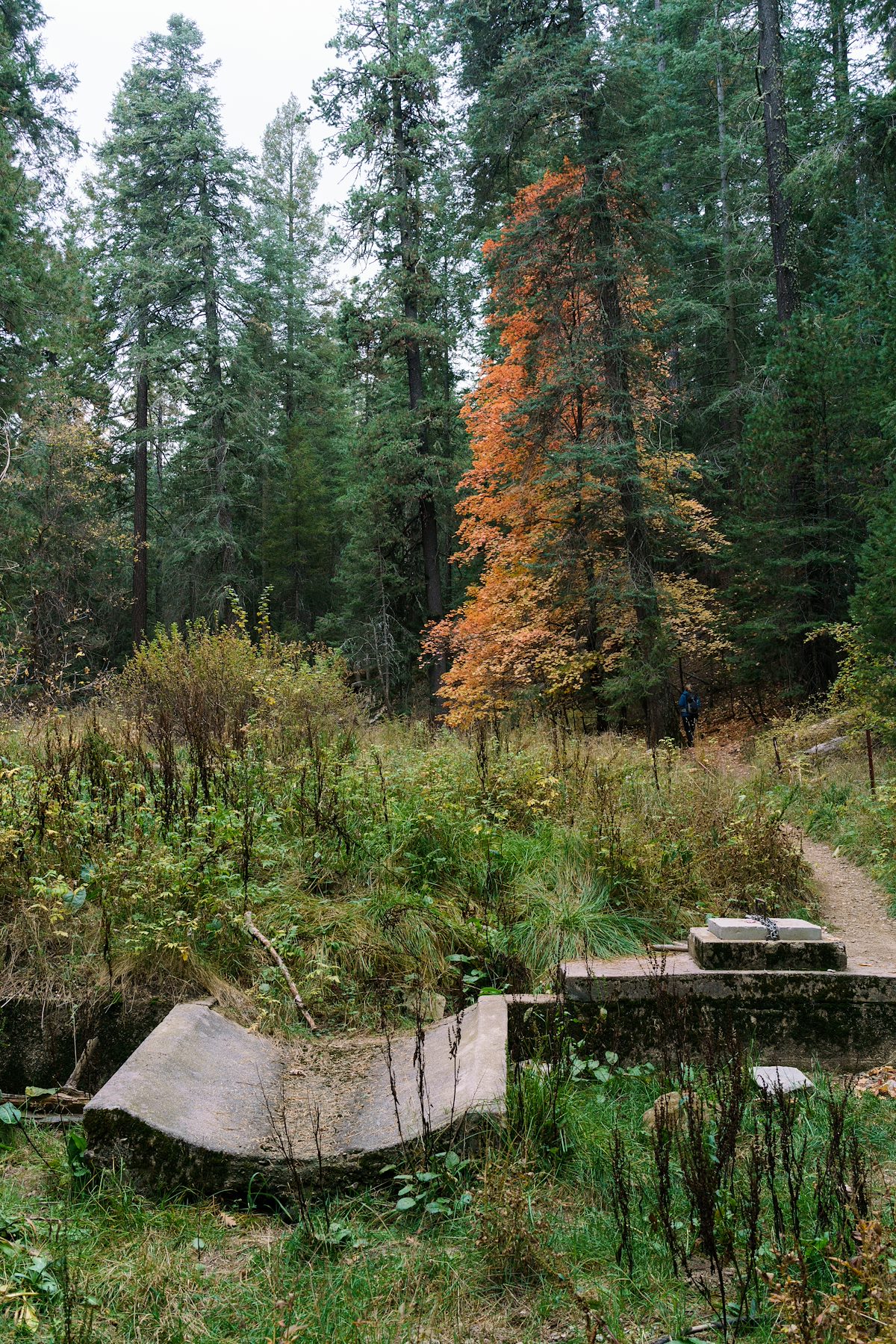 2016 October Bear Wallow Water Works 02