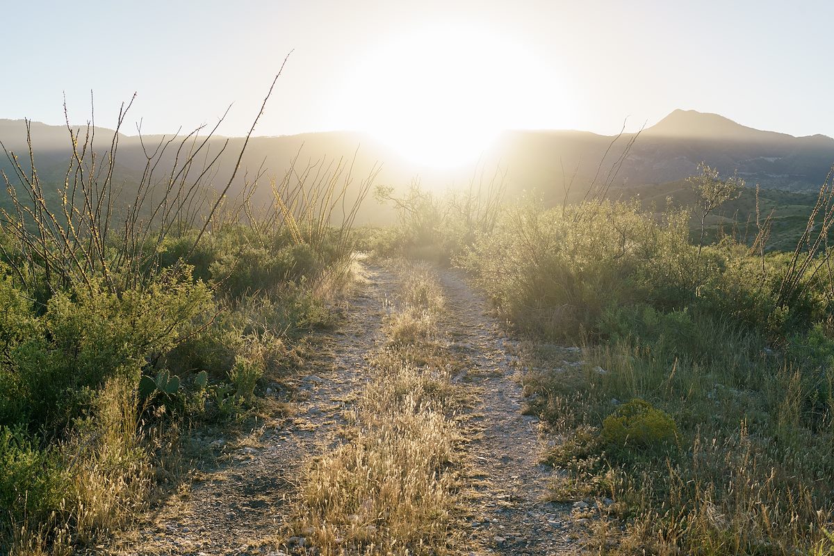 2016 October Point 4655 NW of Juan Spring on the way out of Alder Canyon