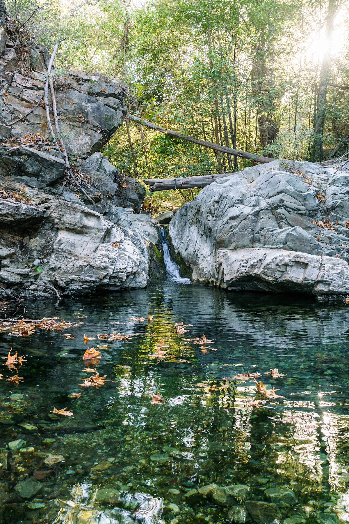 2016 October Pool in Alder Canyon