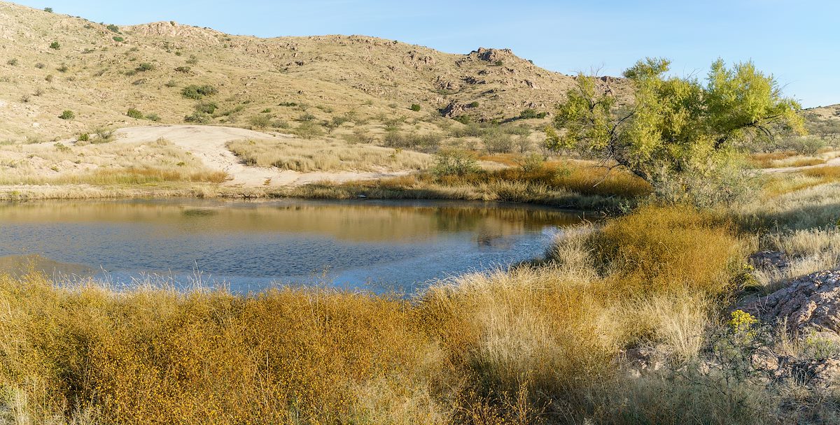 2016 October Race Track Tank