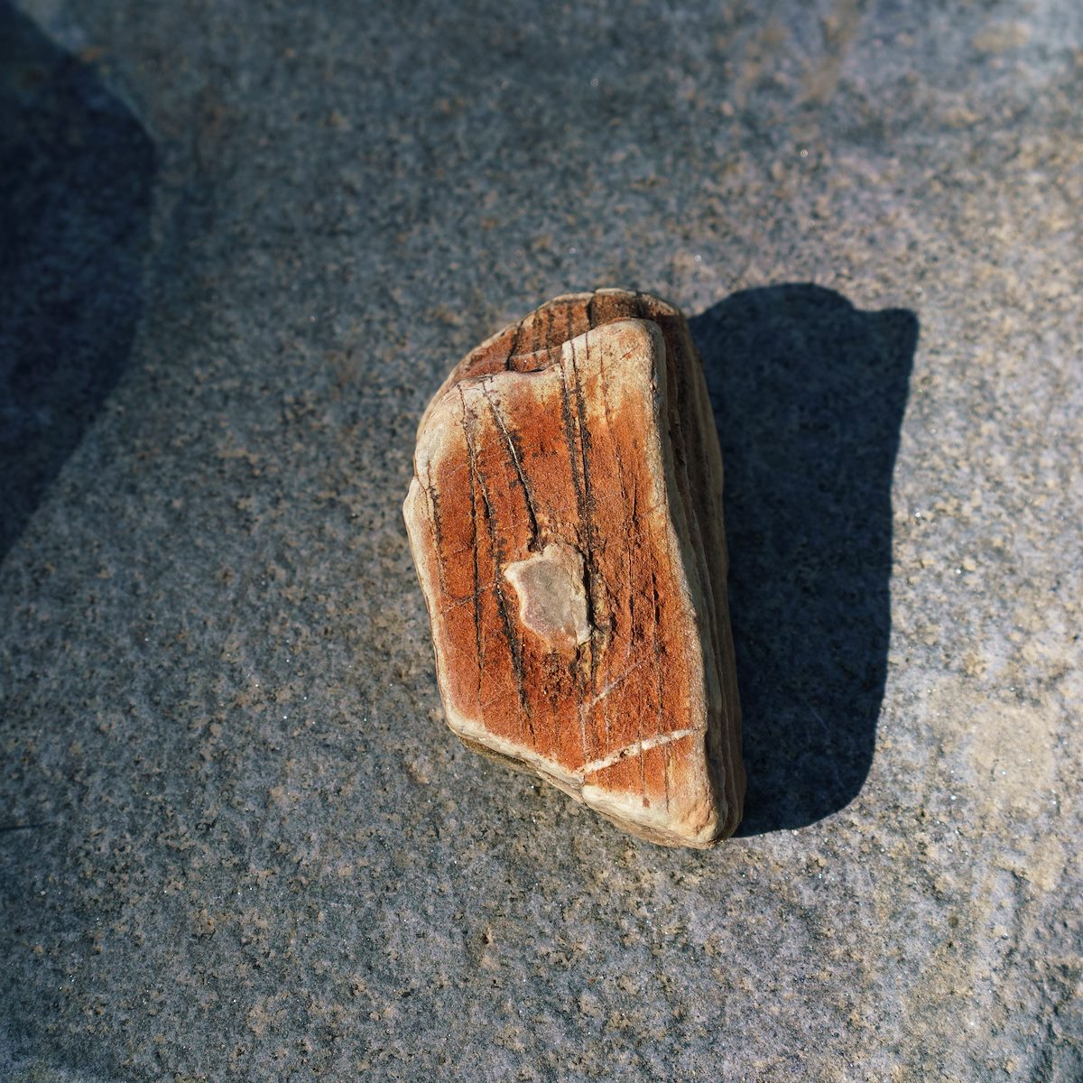 2016 October Rocks in Alder Canyon