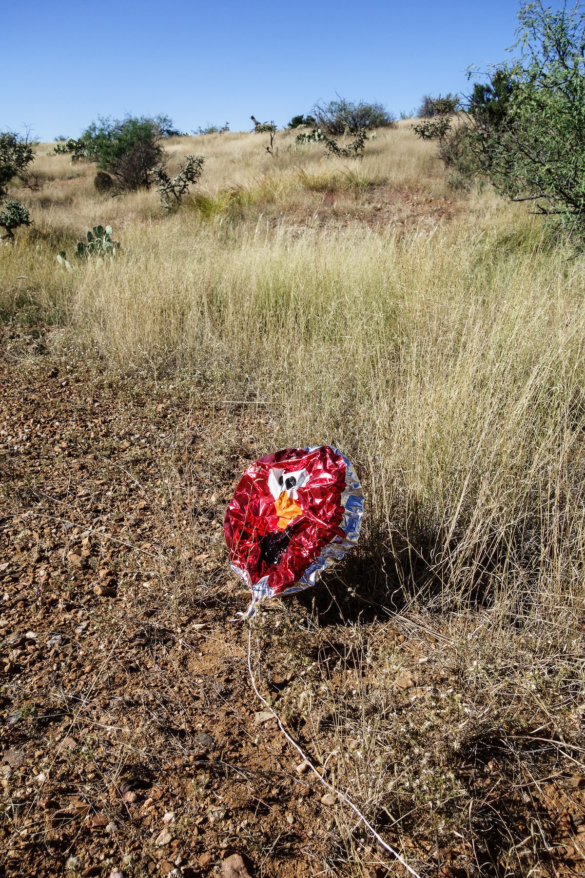2016 October Sesame Street Balloon Trash
