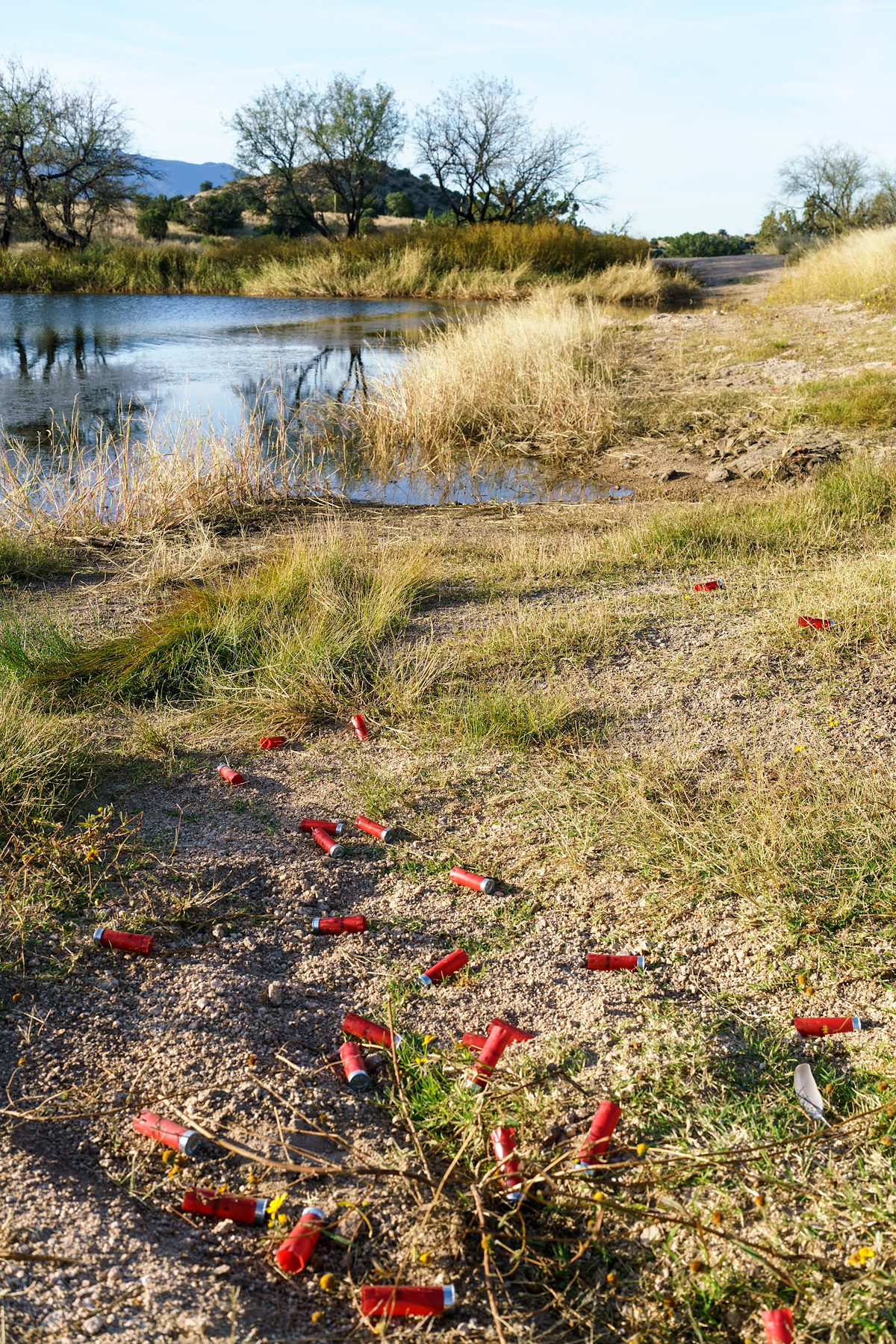 2016 October Shells beside Race Track Tank