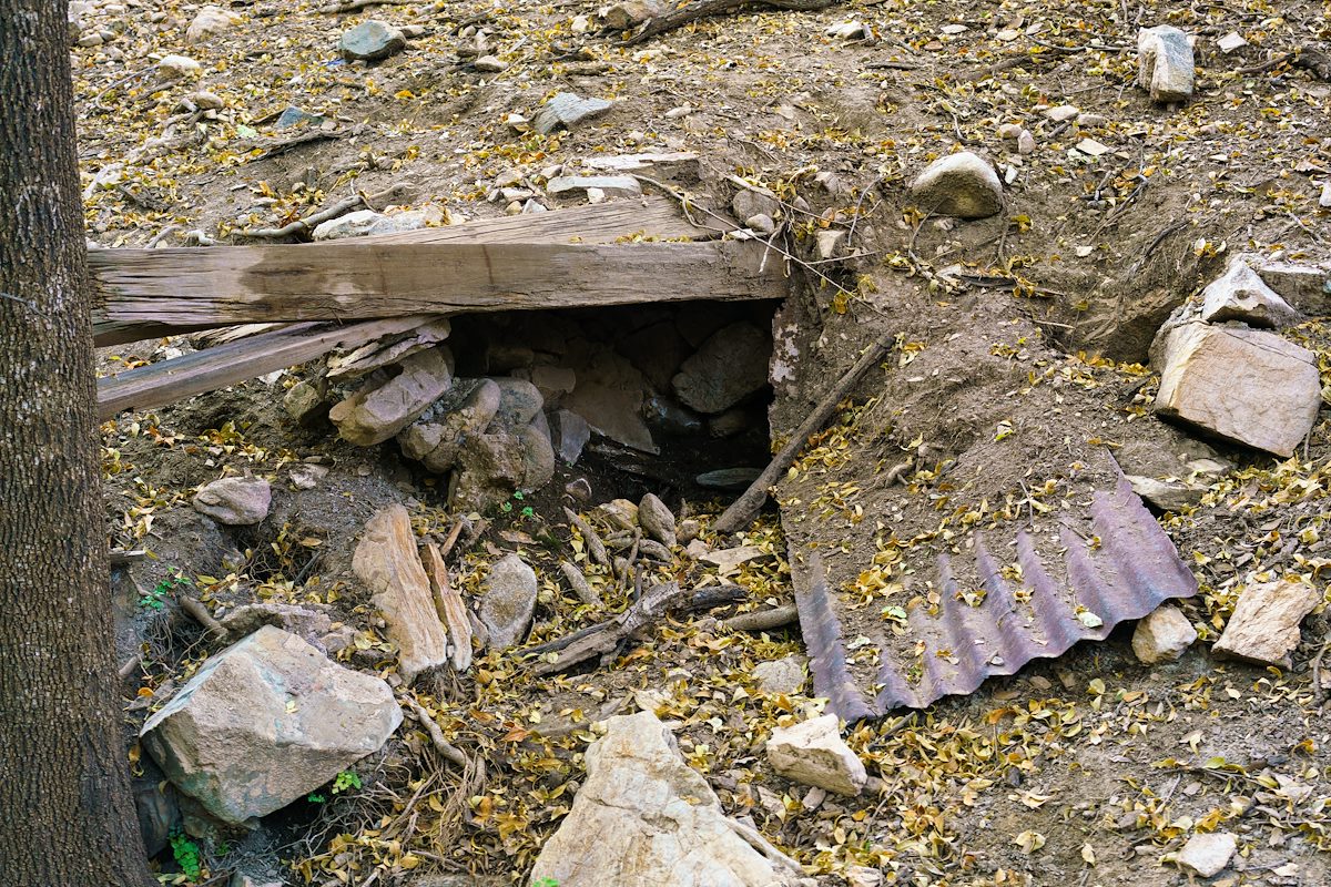 2016 October Spring in Alder Canyon