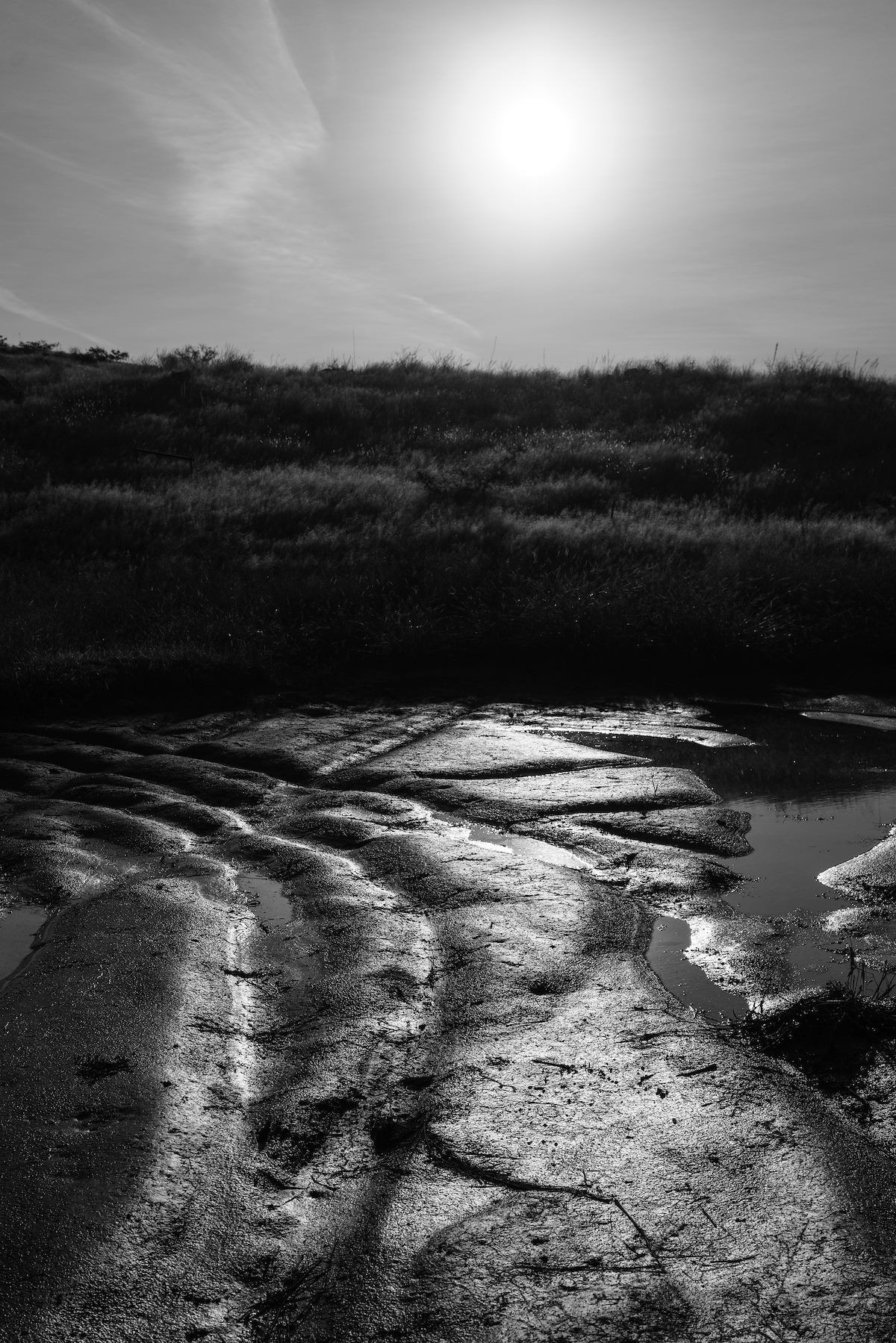 2016 October Sun Mud and Water near Race Track Tank