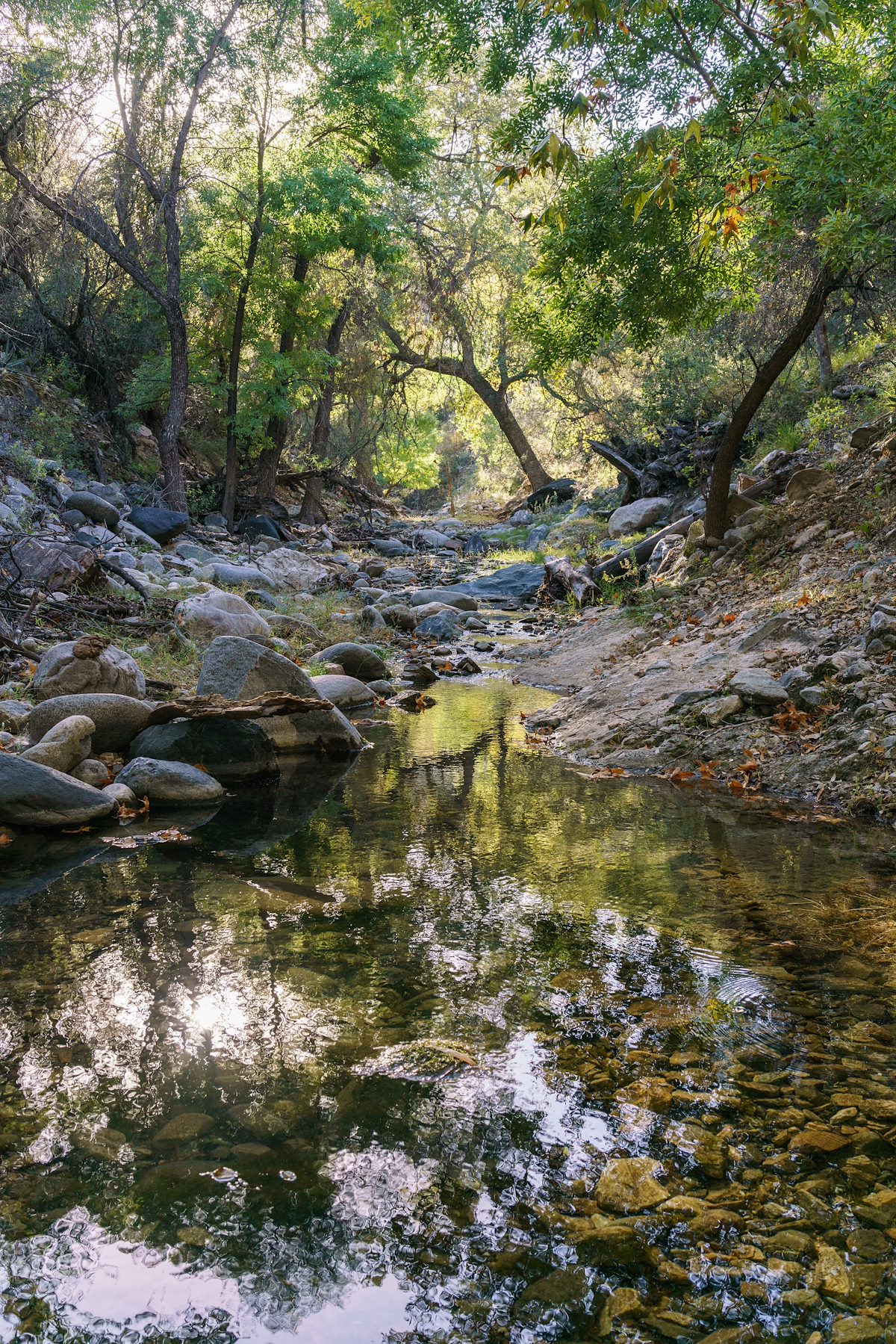 2016 October Water in Alder Canyon