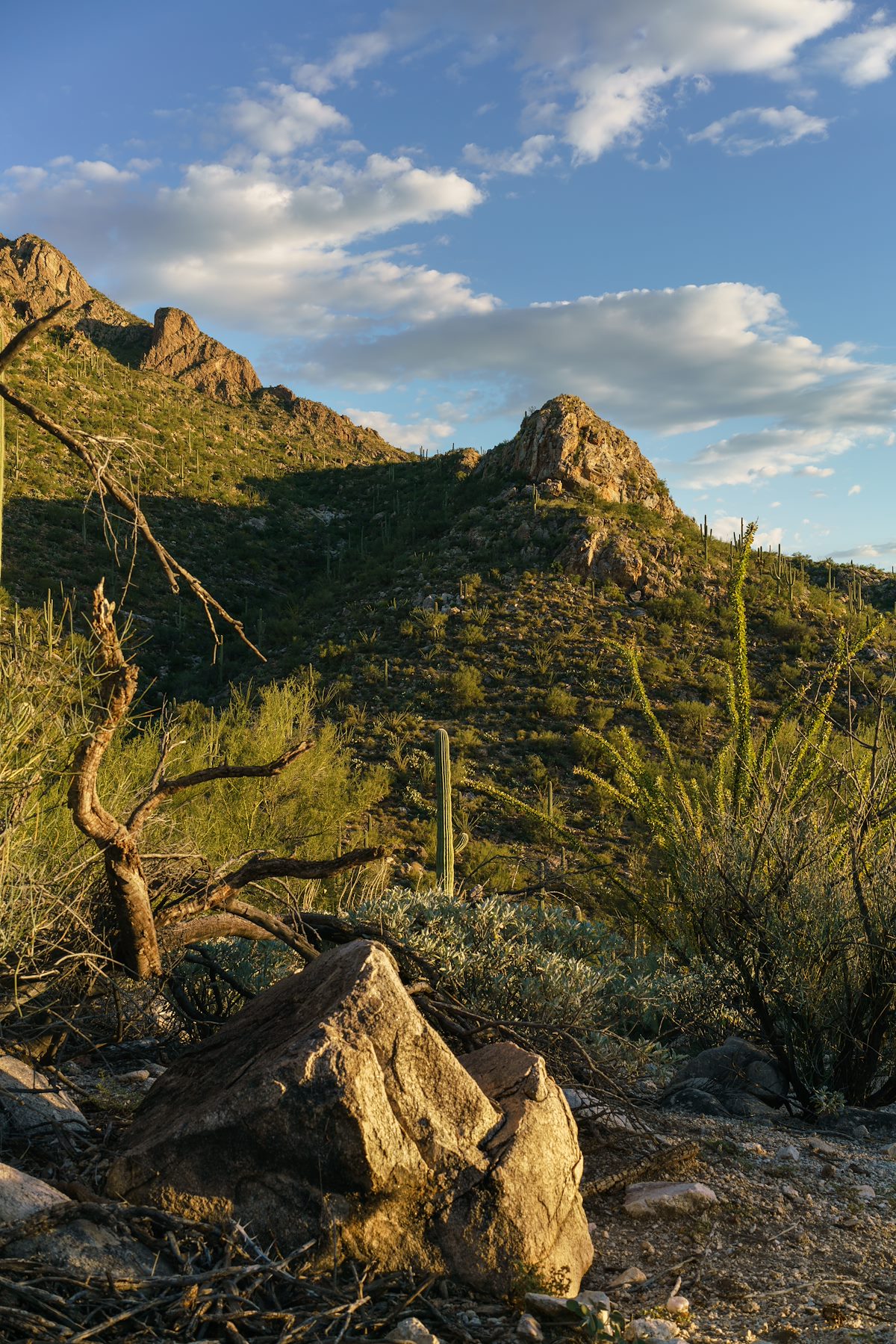 2016 September A Formation below Pusch Peak