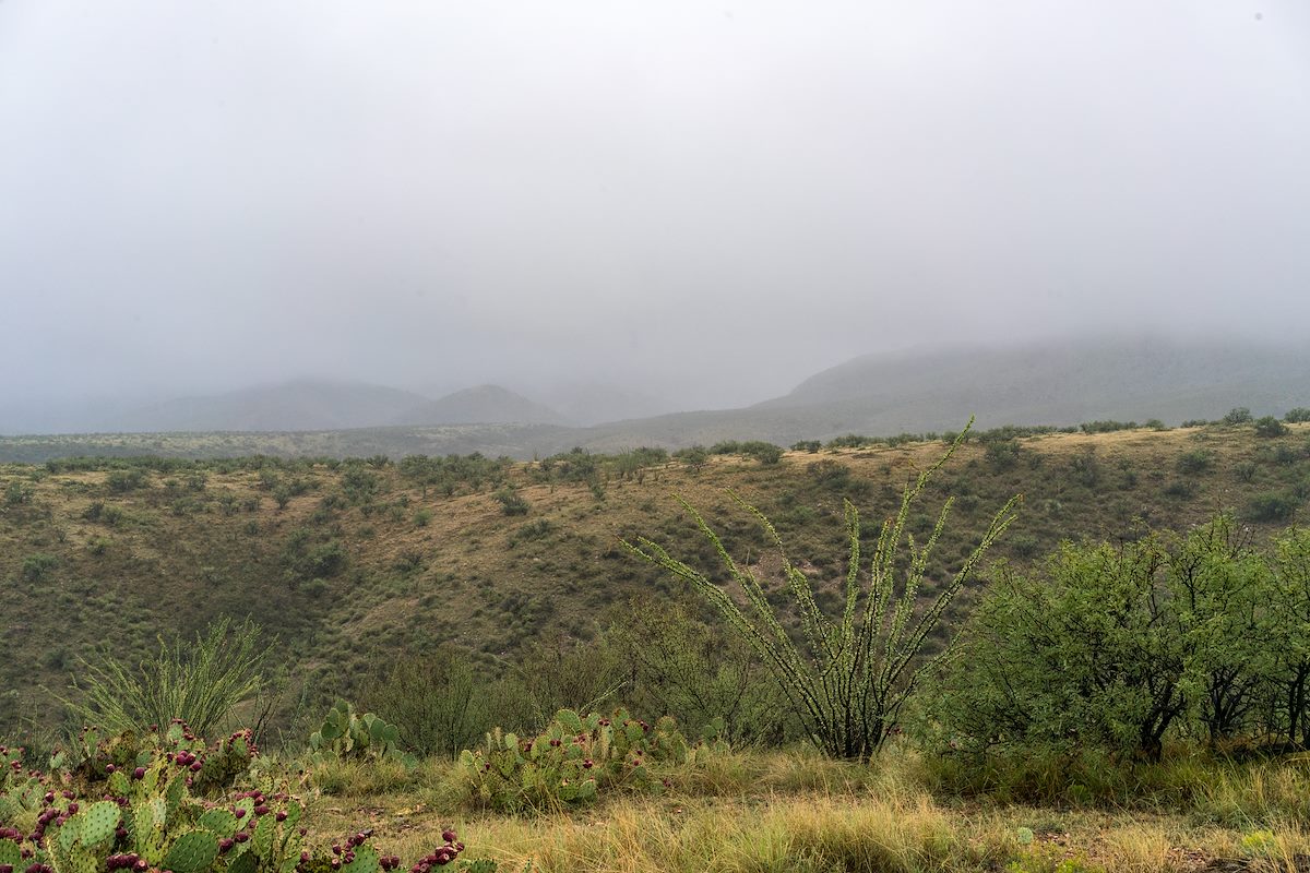 2016 September Looking across Davis Mesa Towards the Davis Spring Trailhead