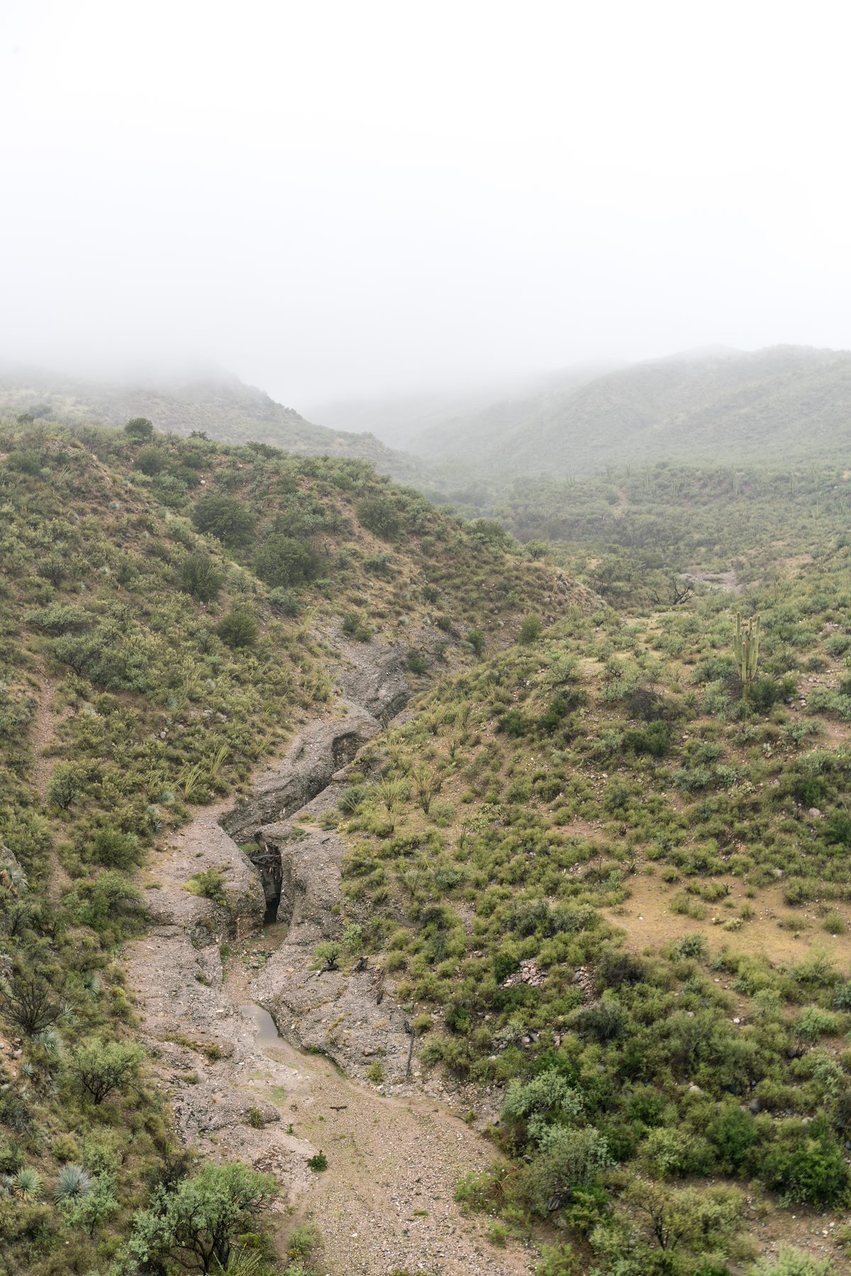 2016 September Looking up Alder Canyon above Ventana Windmill