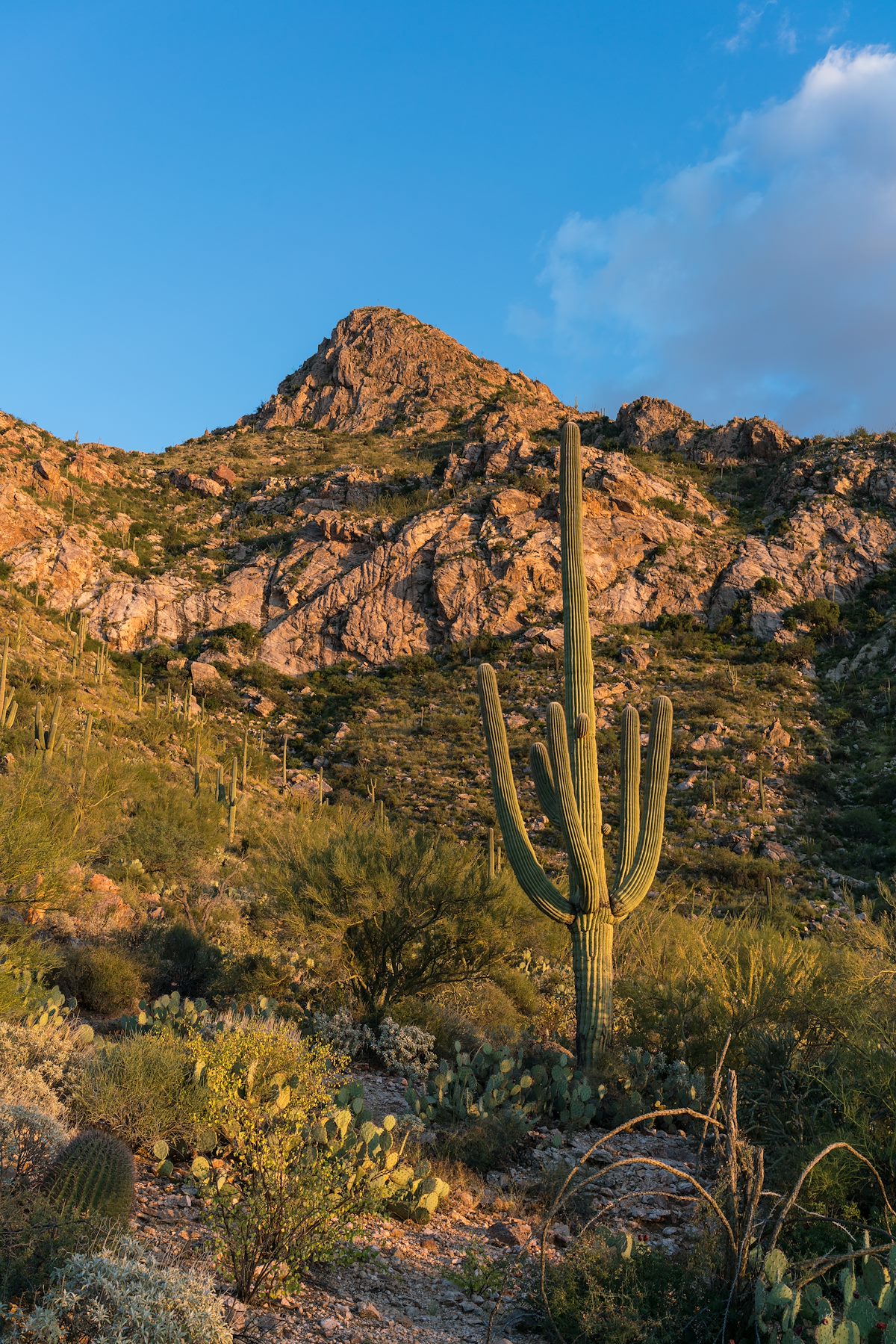 2016 September Near the Linda Vista Trails