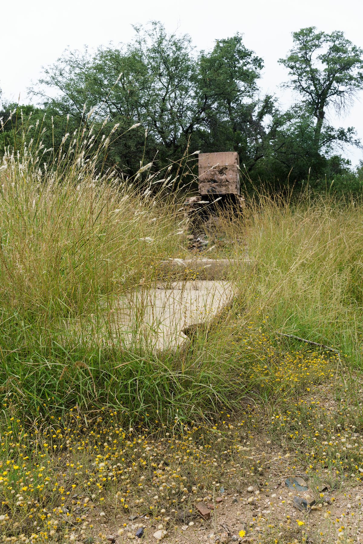 2016 September Old Fireplace in Campo Bonito