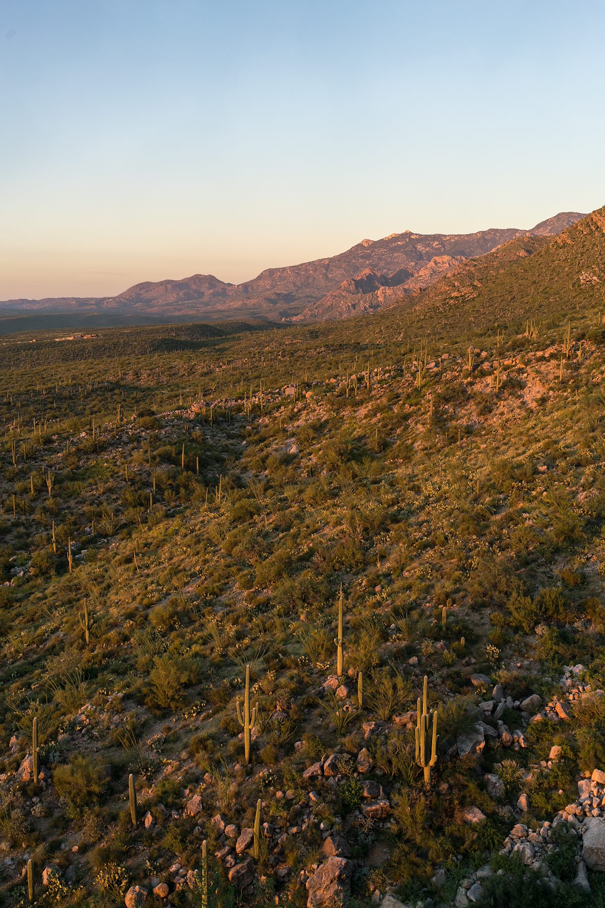 2016 September Pusch Ridge Wilderness near the Linda Vista Trails