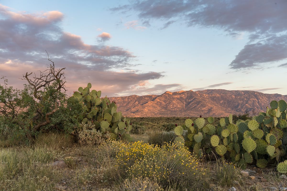 2016 September Samaniego Ridge and Mount Lemmon