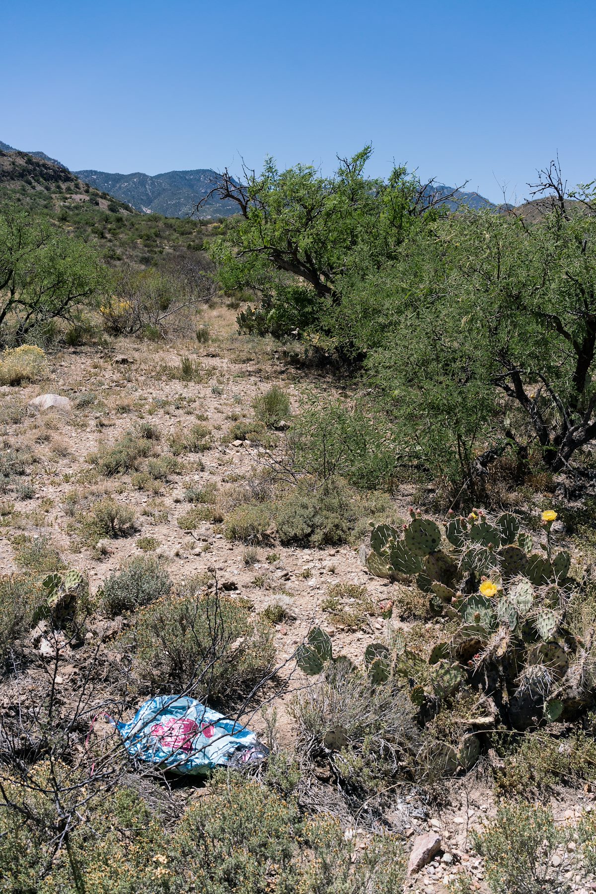 2017 April Ballloon Trash Off Brush Corral Road