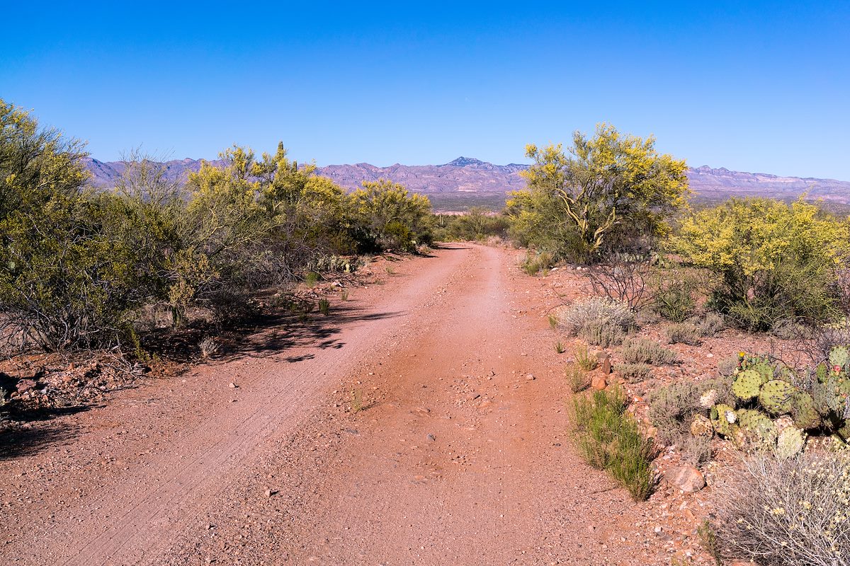 2017 April Bassett Peak from Brush Corral Road FR4407