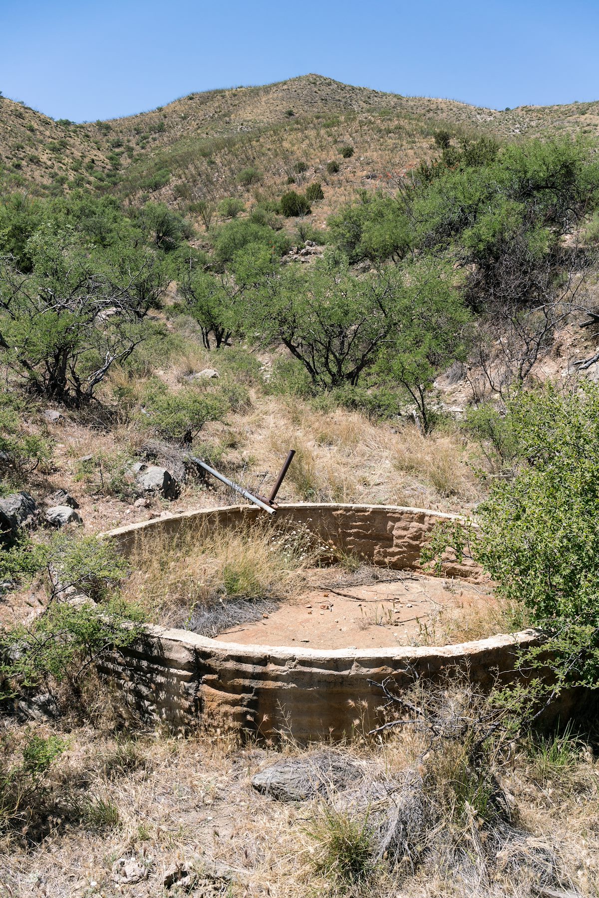 2017 April Cedar Spring Tank