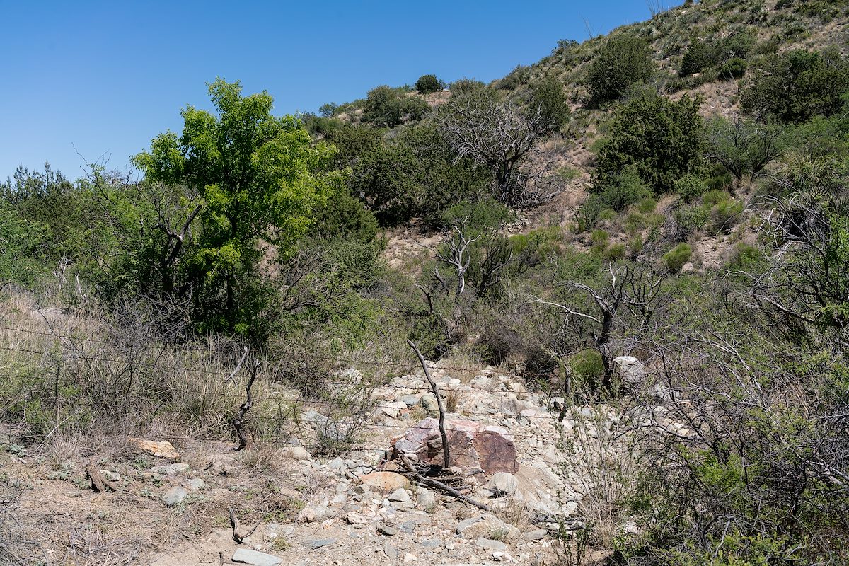 2017 April Forest Boundary below Point 4286 North of Brush Corral