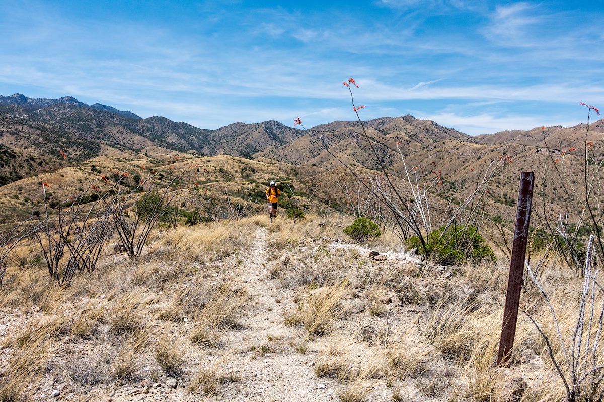 2017 April Looking back up the mountain low on the Brush Corral Trail