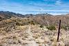 2017 April Looking back up the mountain low on the Brush Corral Trail
