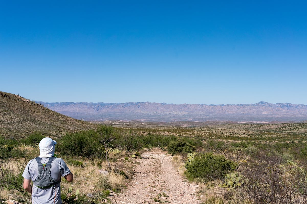 2017 April On FR4407 Brush Corral Road