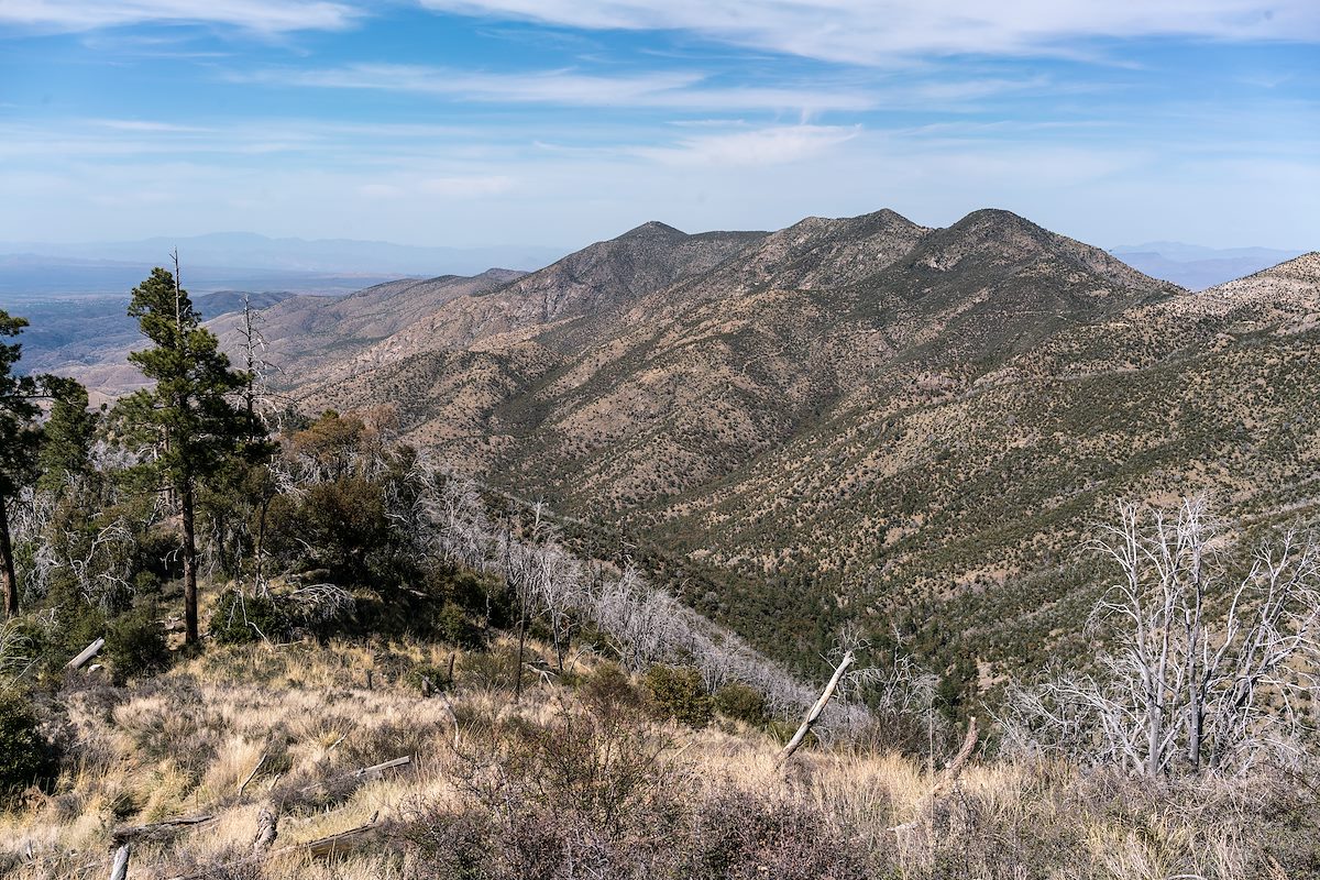 2017 April Oracle Ridge and Rice Peak from Red Ridge