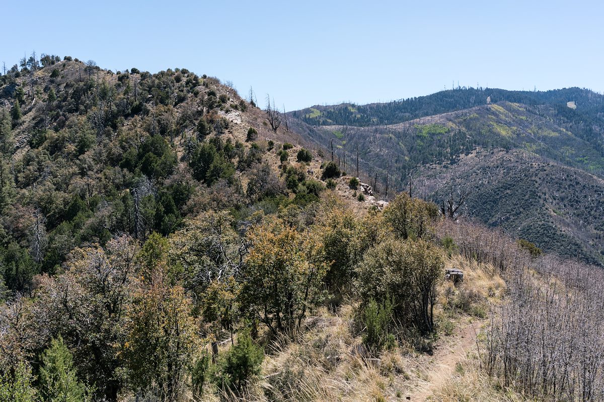 2017 April Oracle Ridge Trail