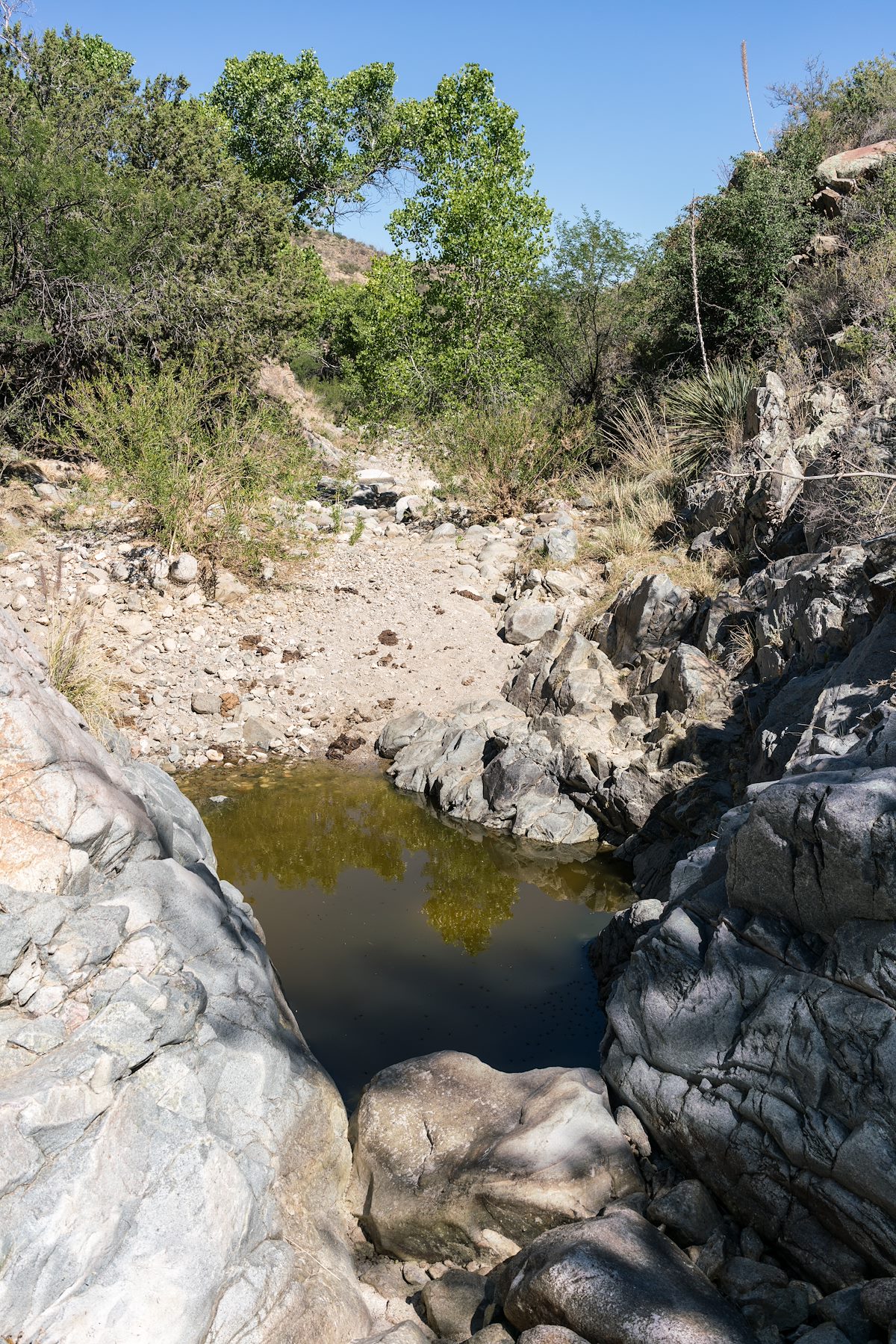 2017 April Pool in canyon west of Brush Corral