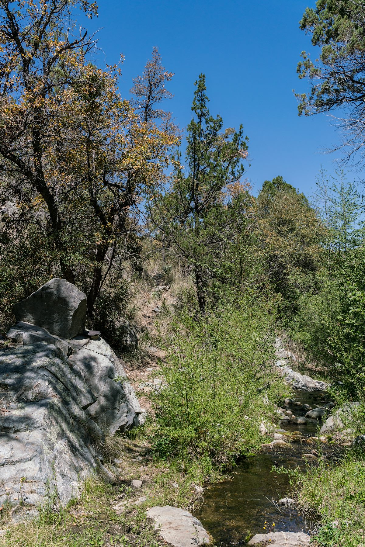 2017 April Red Ridge crossing the East Fork of the Canada del Oro