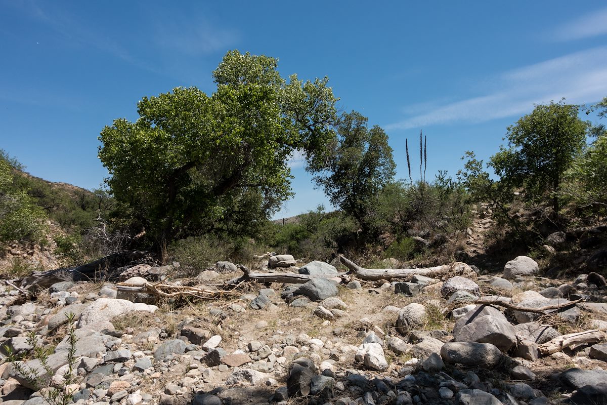 2017 April Resting in the shade near the Brush Corral Trailhead