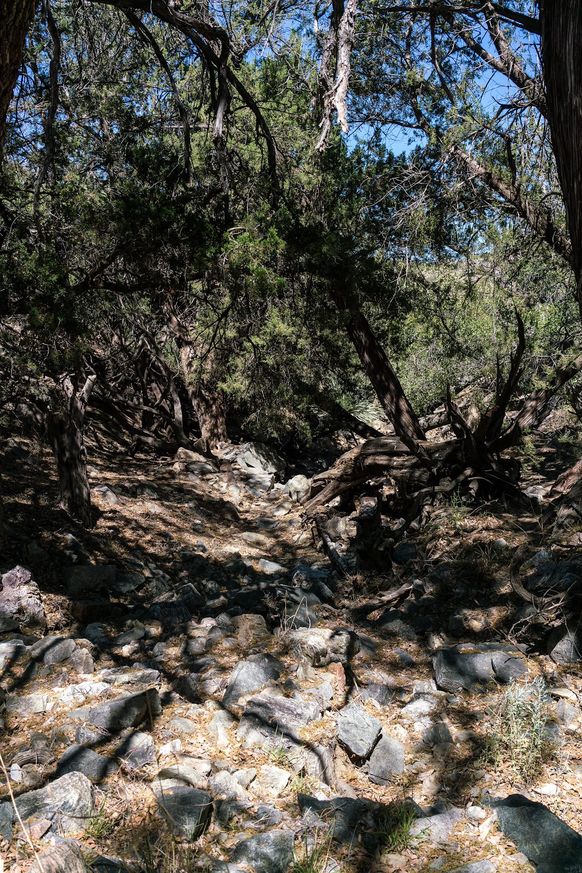 2017 April Small Canyon Above Cedar Springs