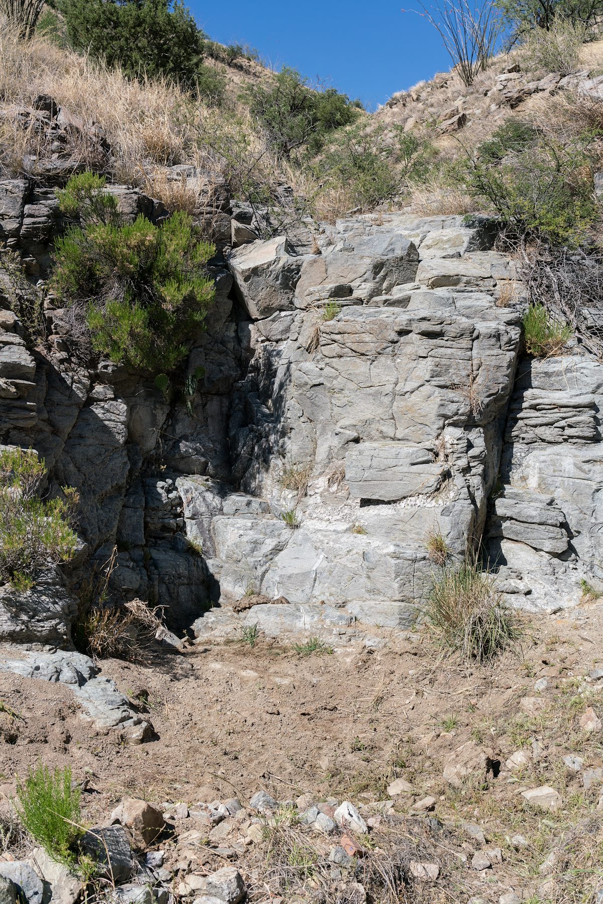 2017 April The end of a small pool in the Pearsons Spring area North of Brush Corral