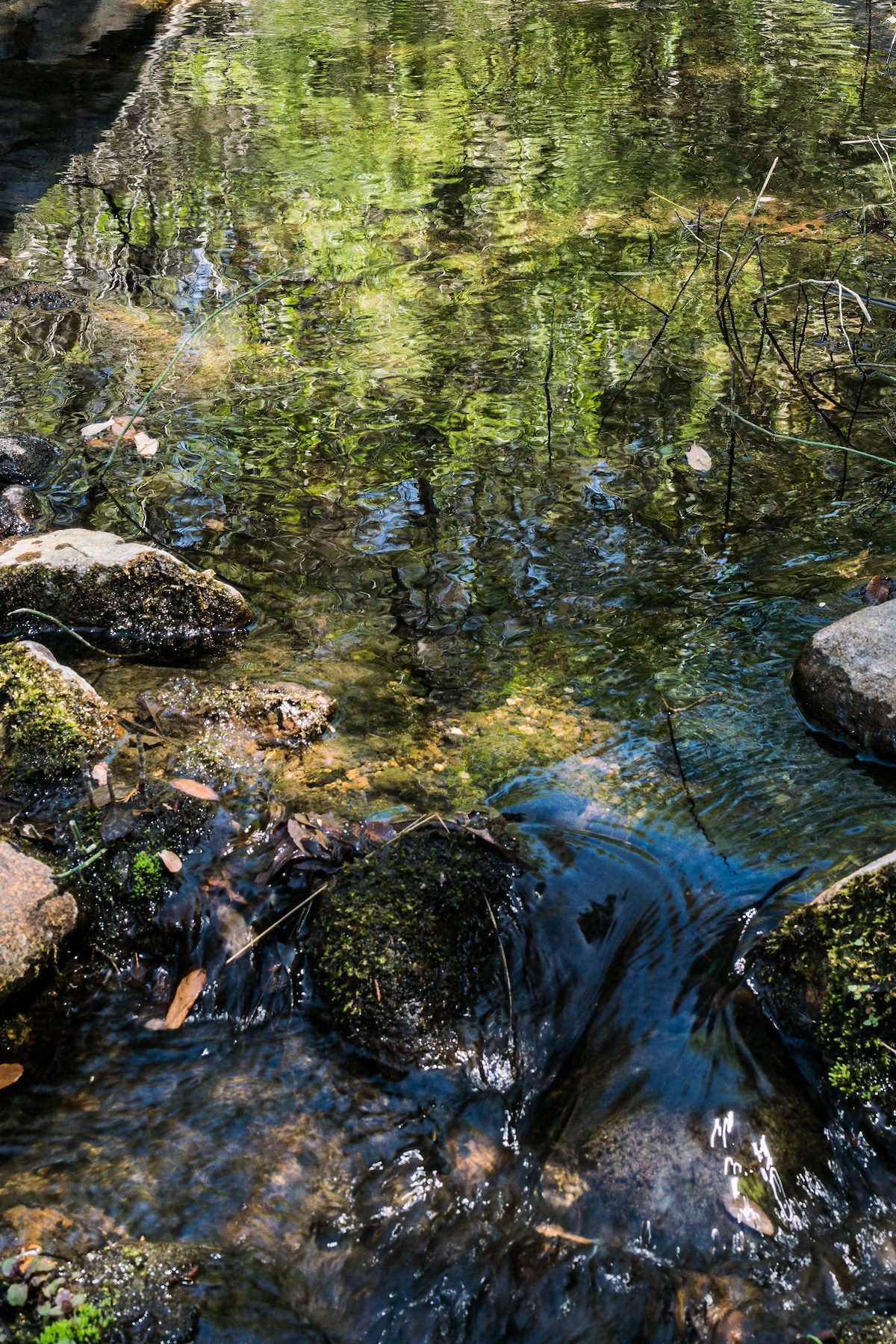2017 April Water in the East Fork of the Canada del Oro