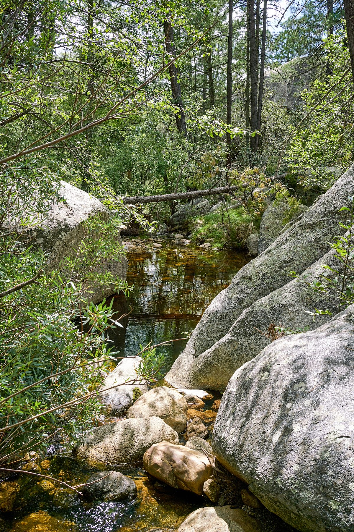 2017 August Creek Crossing on the Wilderness of Rock Trail