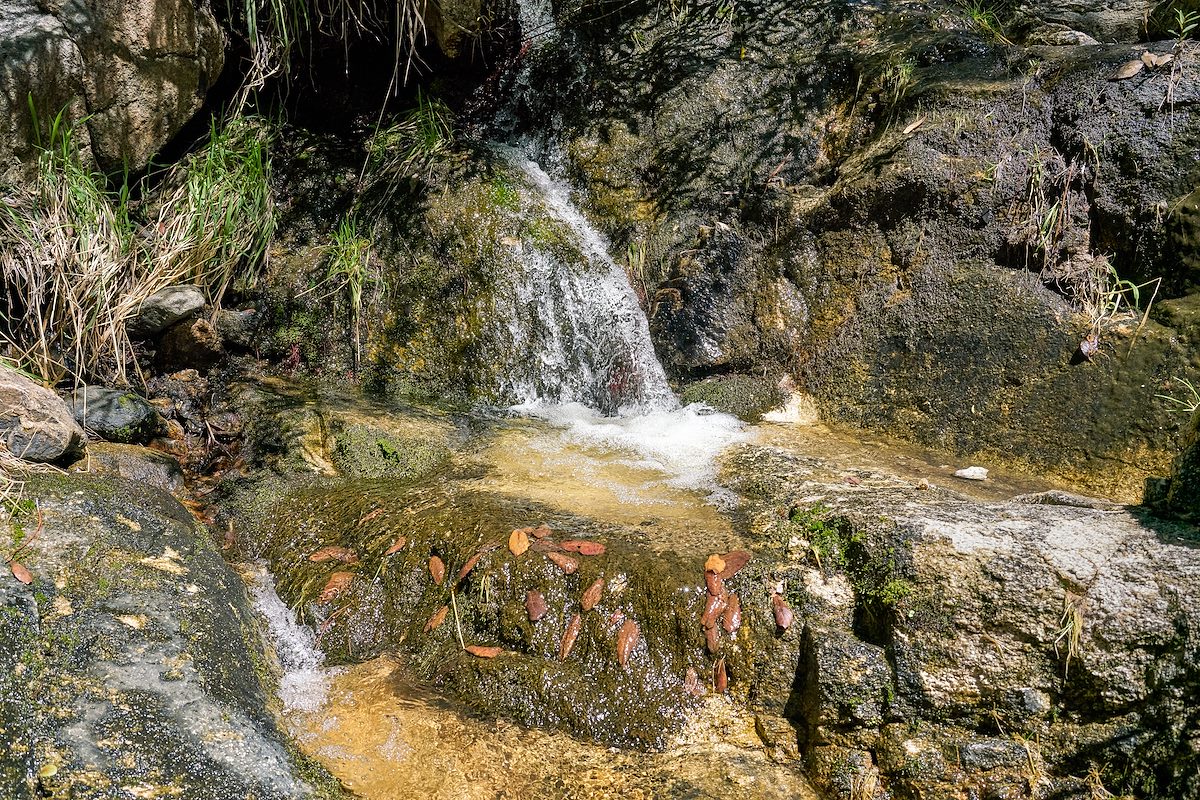 2017 August Crossing the flowing water on the Lemmon Rock Trail