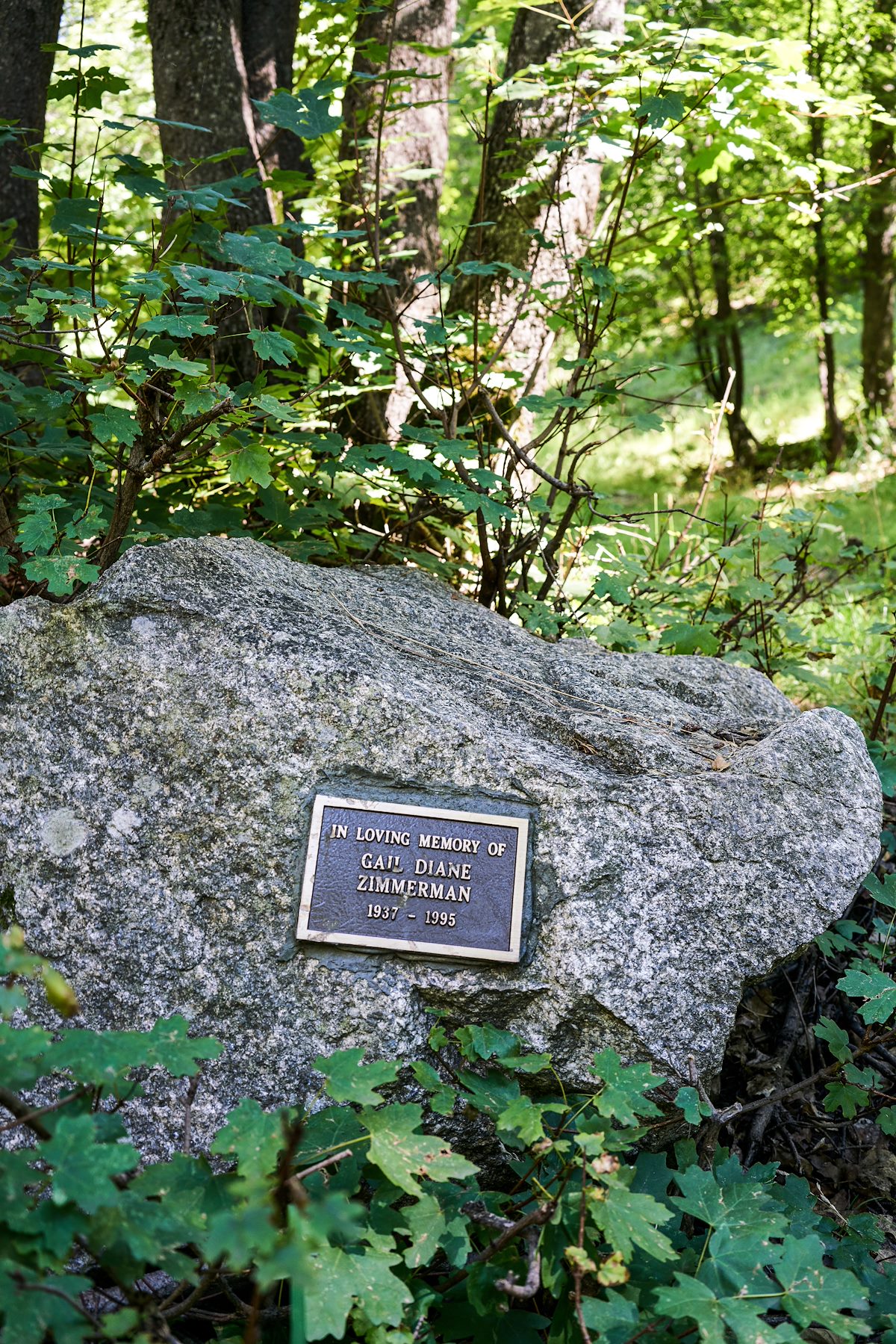 2017 August In Loving Memory of Gail Diane Zimmerman in Bear Wallow