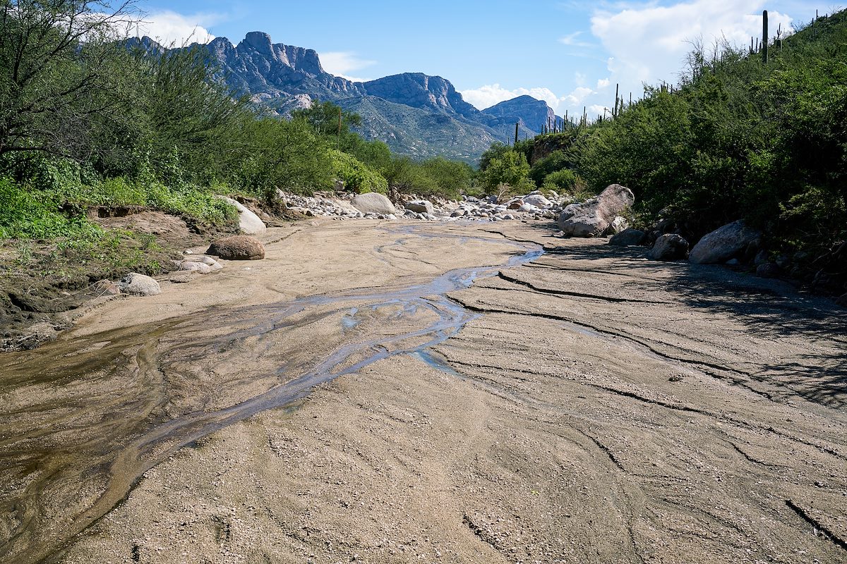 2017 August Sutherland Wash with Pusch Ridge in the distance