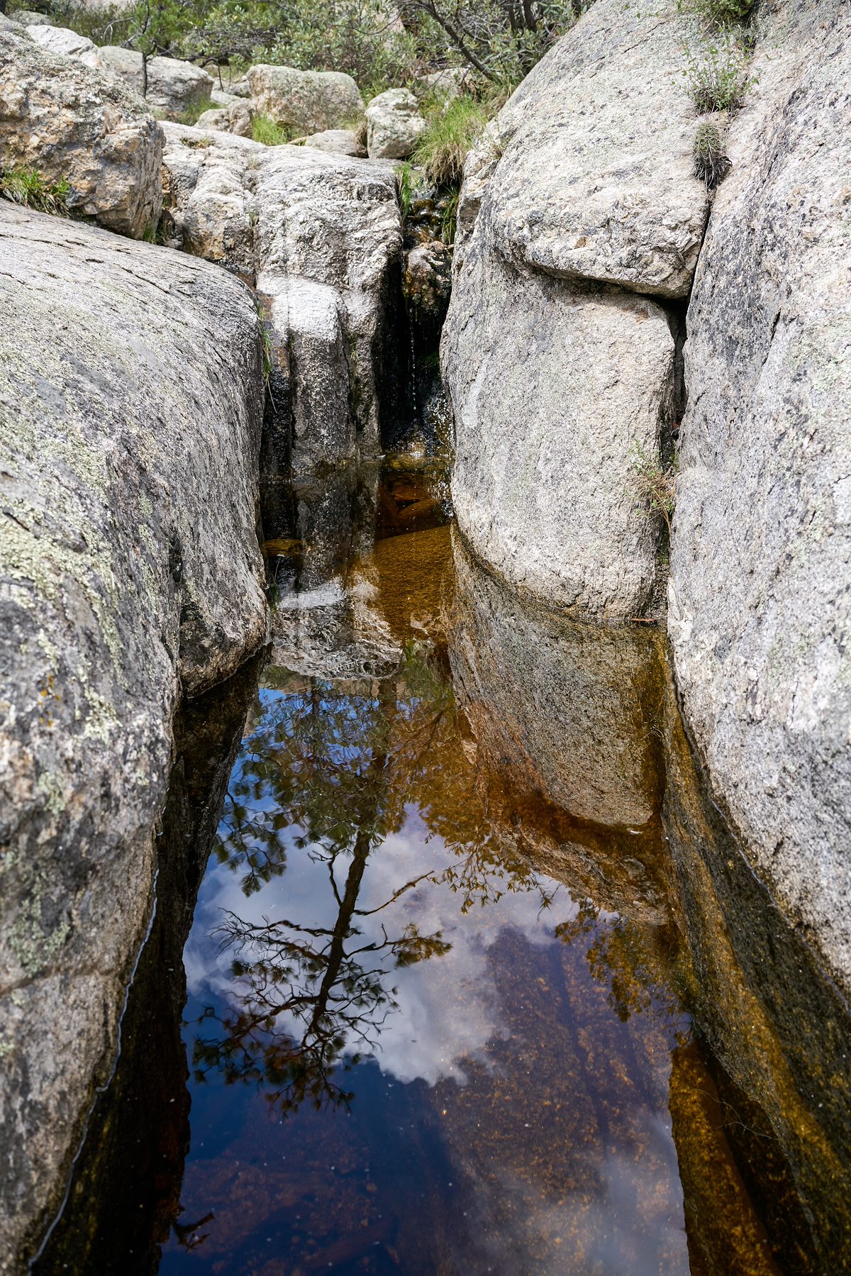 2017 August Water near the Wilderness of Rock Trail